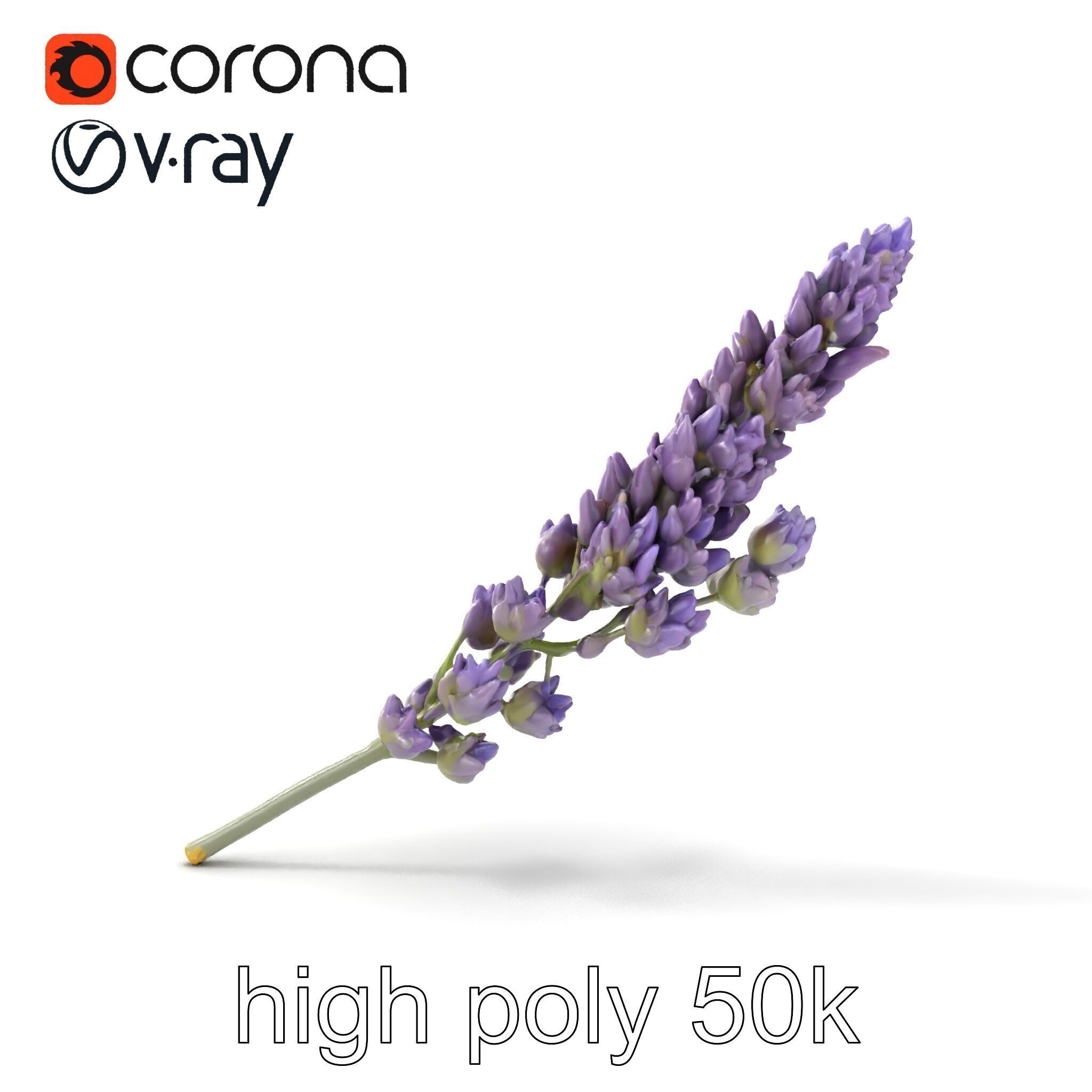 Lavender Flower Botanical Charm model pack Low-poly 3D model_27