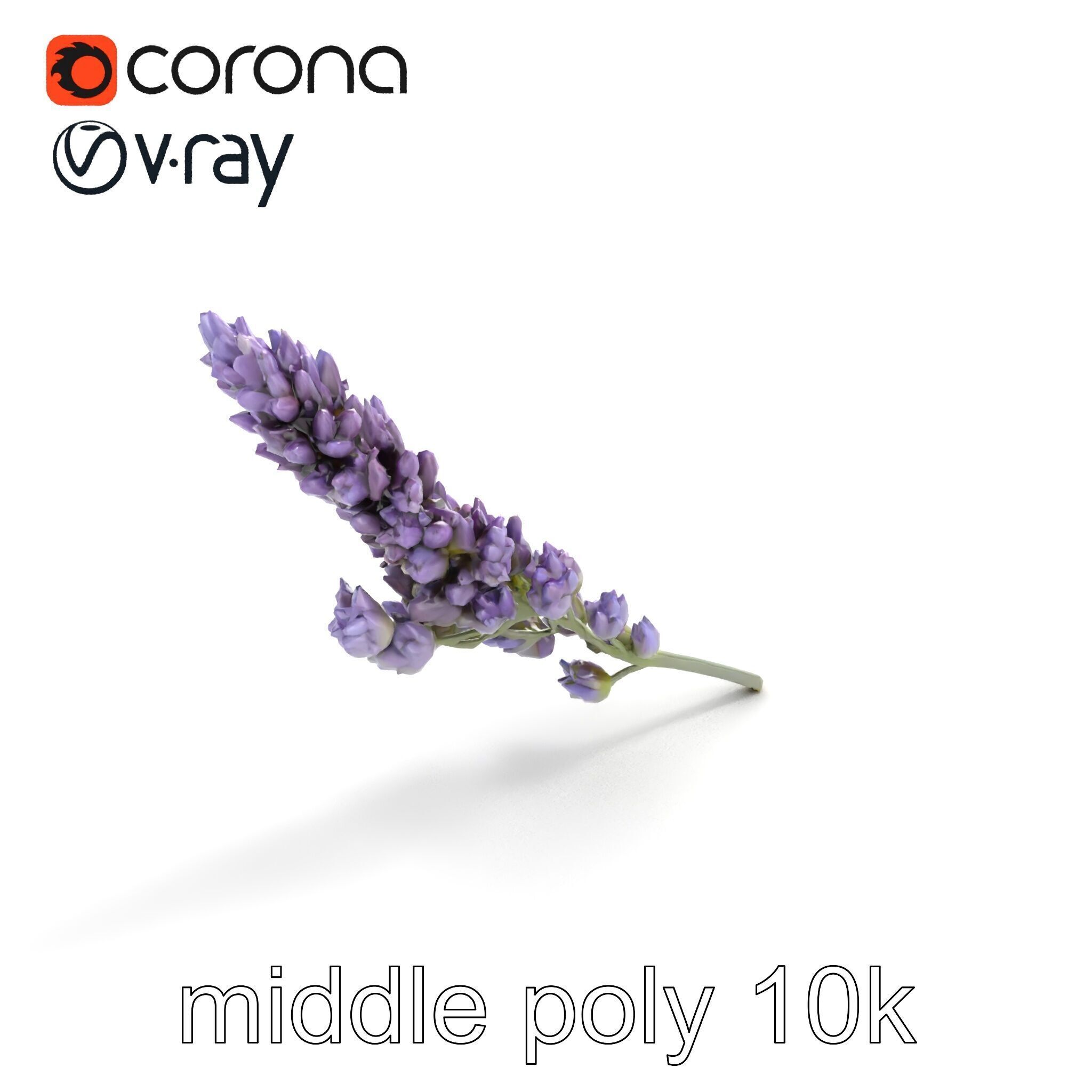 Lavender Flower Botanical Charm model pack Low-poly 3D model_8