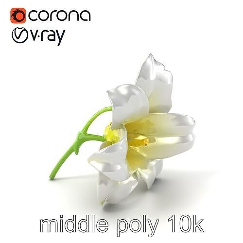 Freesia White Flower High-Detail Model Pack Low-poly 3D model
