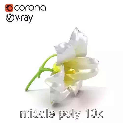 Freesia White Flower High-Detail Model Pack Low-poly 3D model