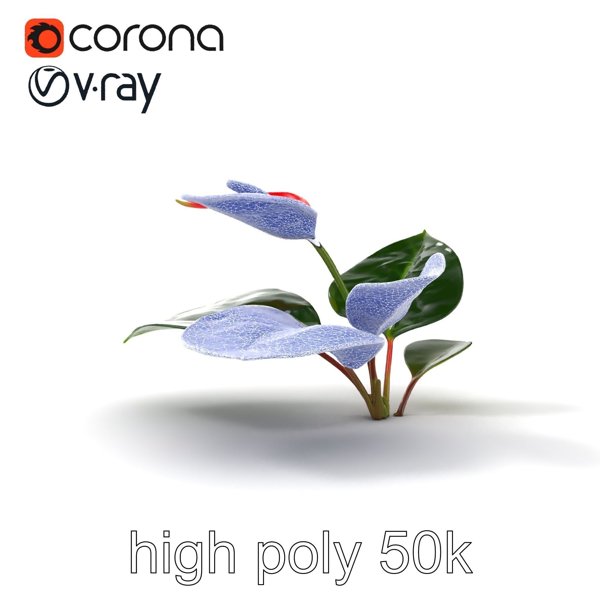Anthurium Red Glossy Petals model pack Low-poly 3D model_20