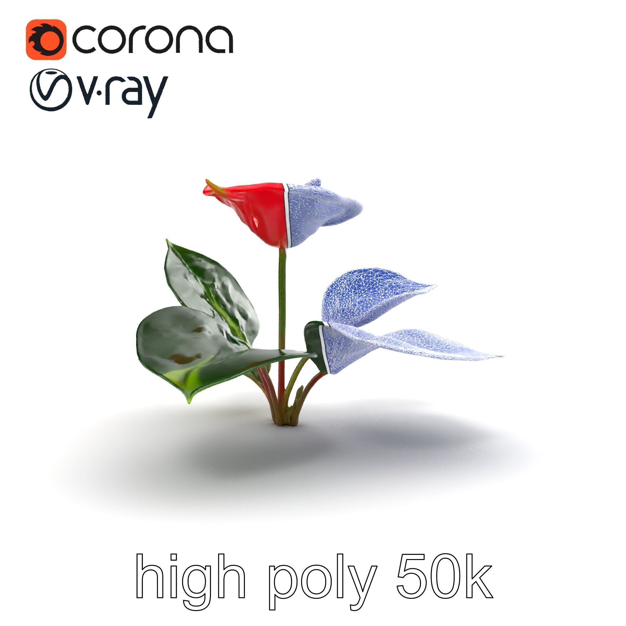 Anthurium Red Glossy Petals model pack Low-poly 3D model_30
