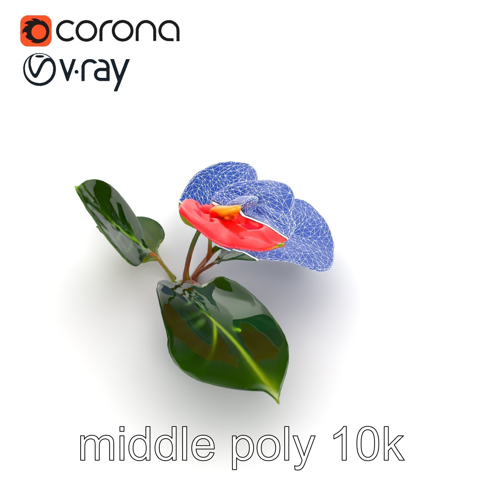 Anthurium Red Glossy Petals model pack Low-poly 3D model_11