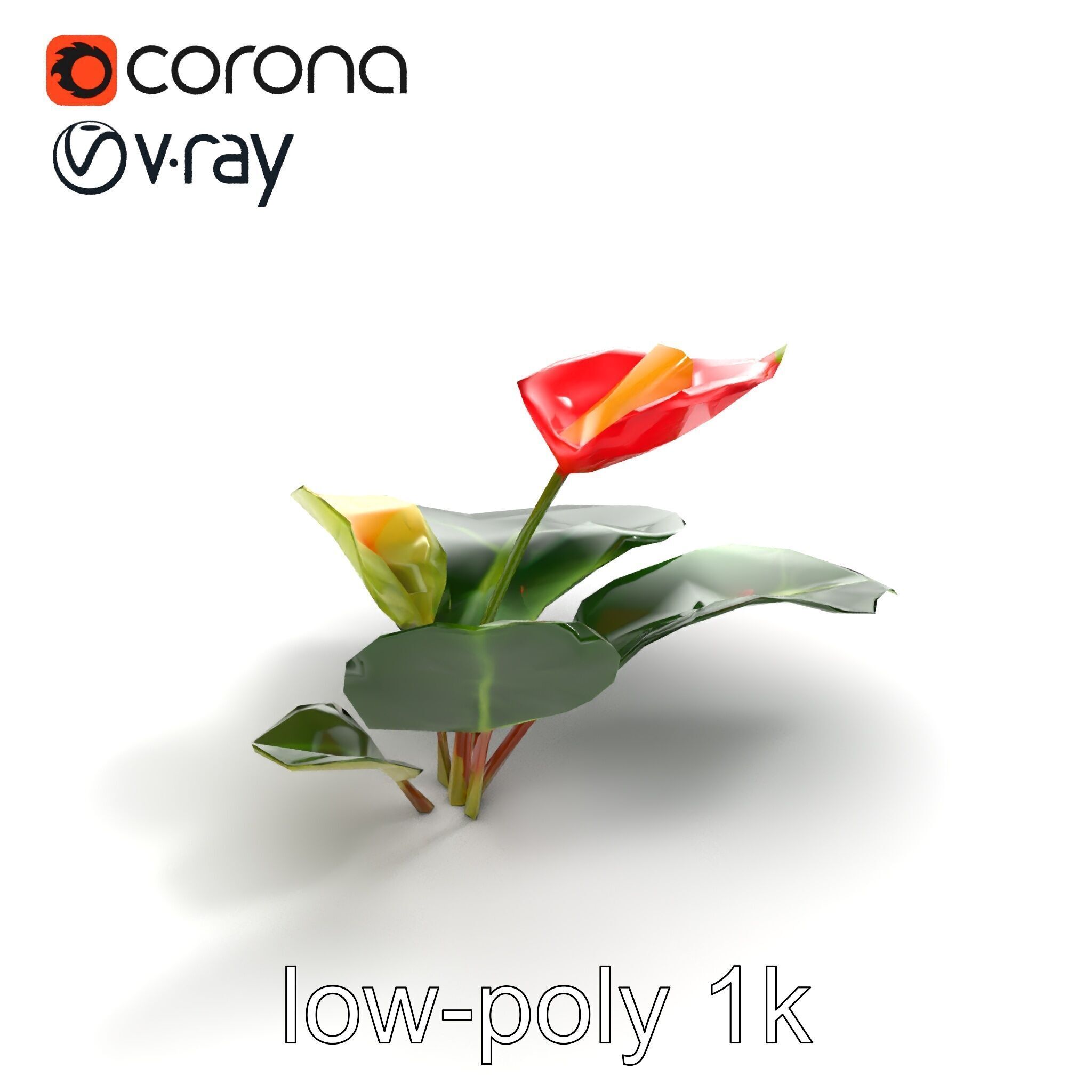Anthurium Red Glossy Petals model pack Low-poly 3D model_8