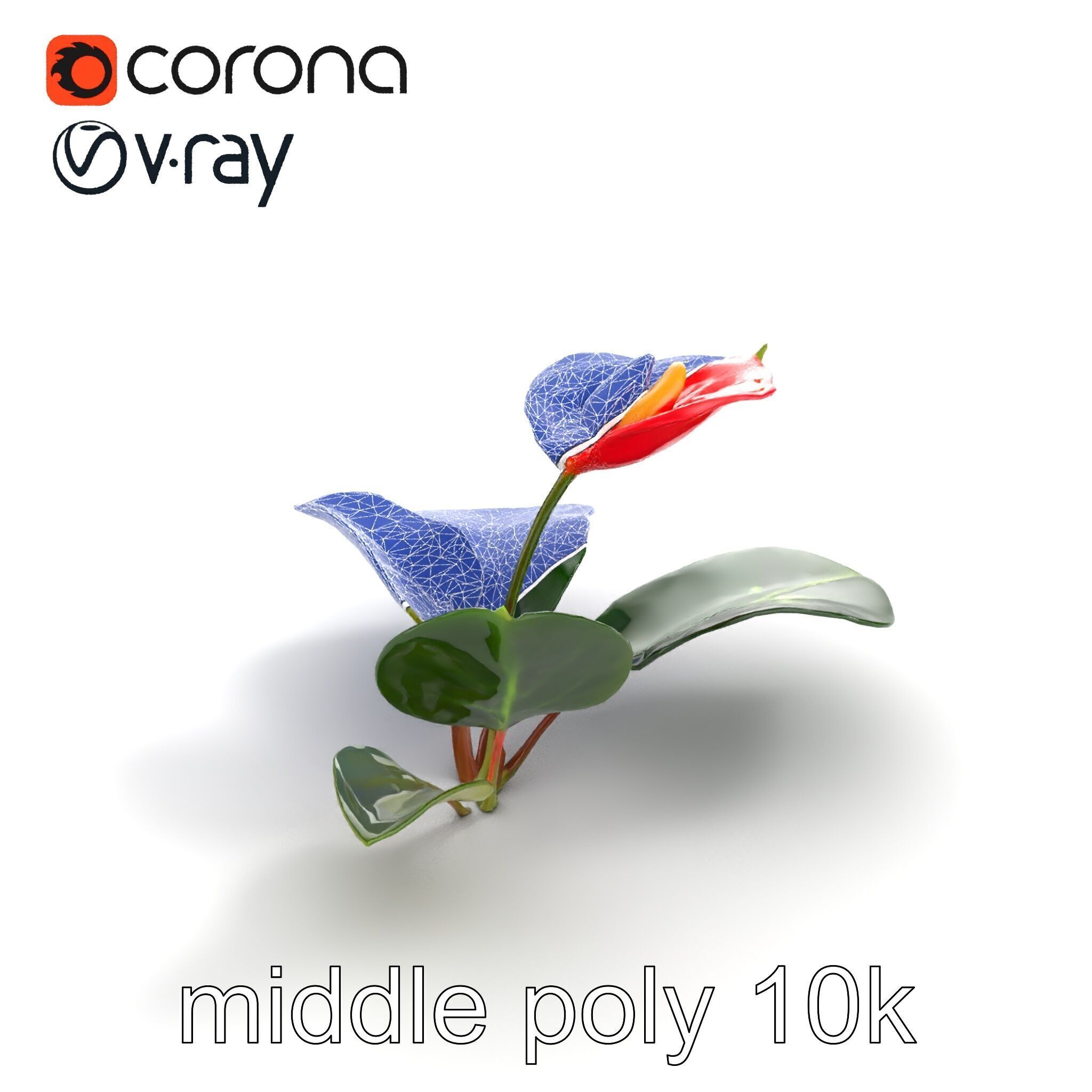Anthurium Red Glossy Petals model pack Low-poly 3D model_10