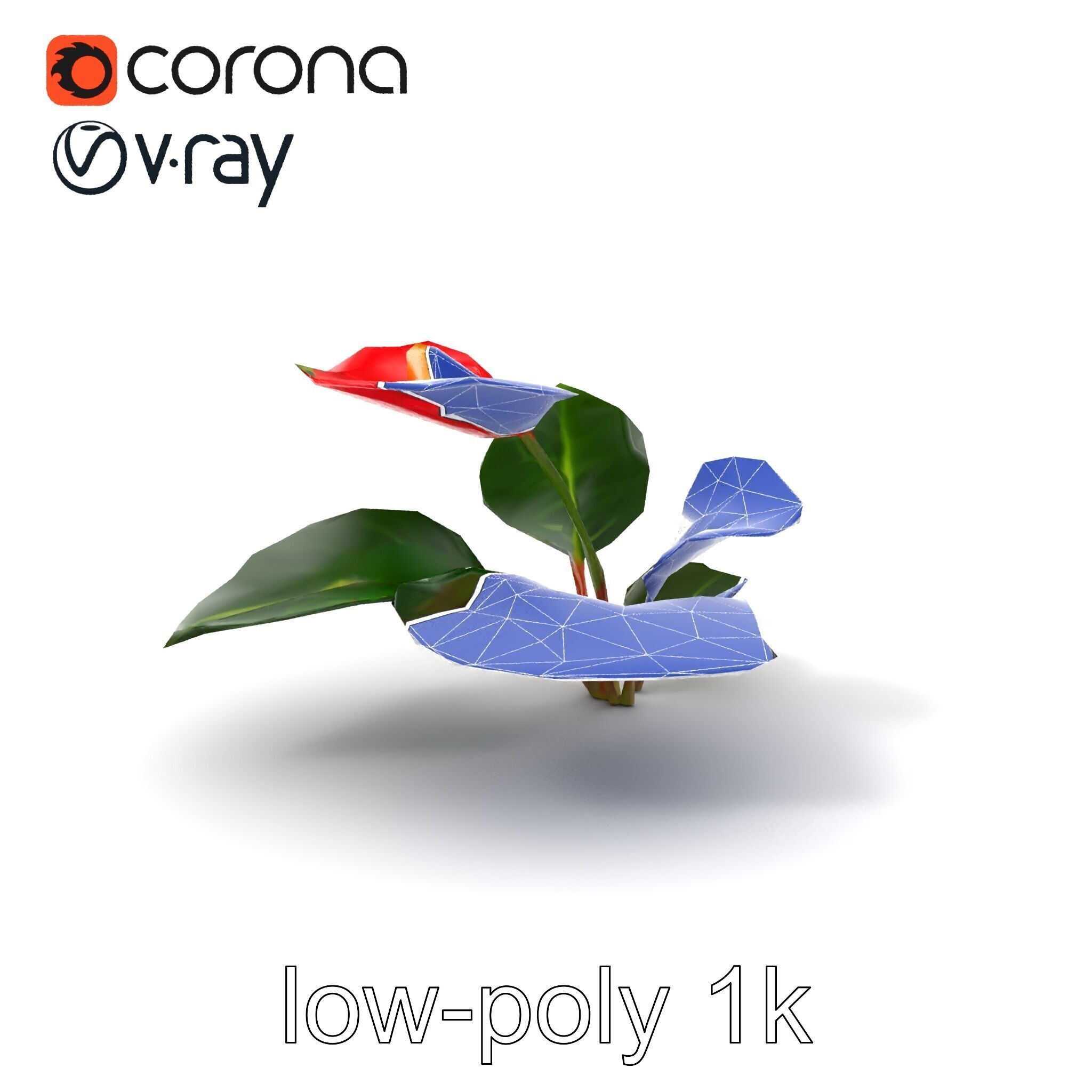 Anthurium Red Glossy Petals model pack Low-poly 3D model_6