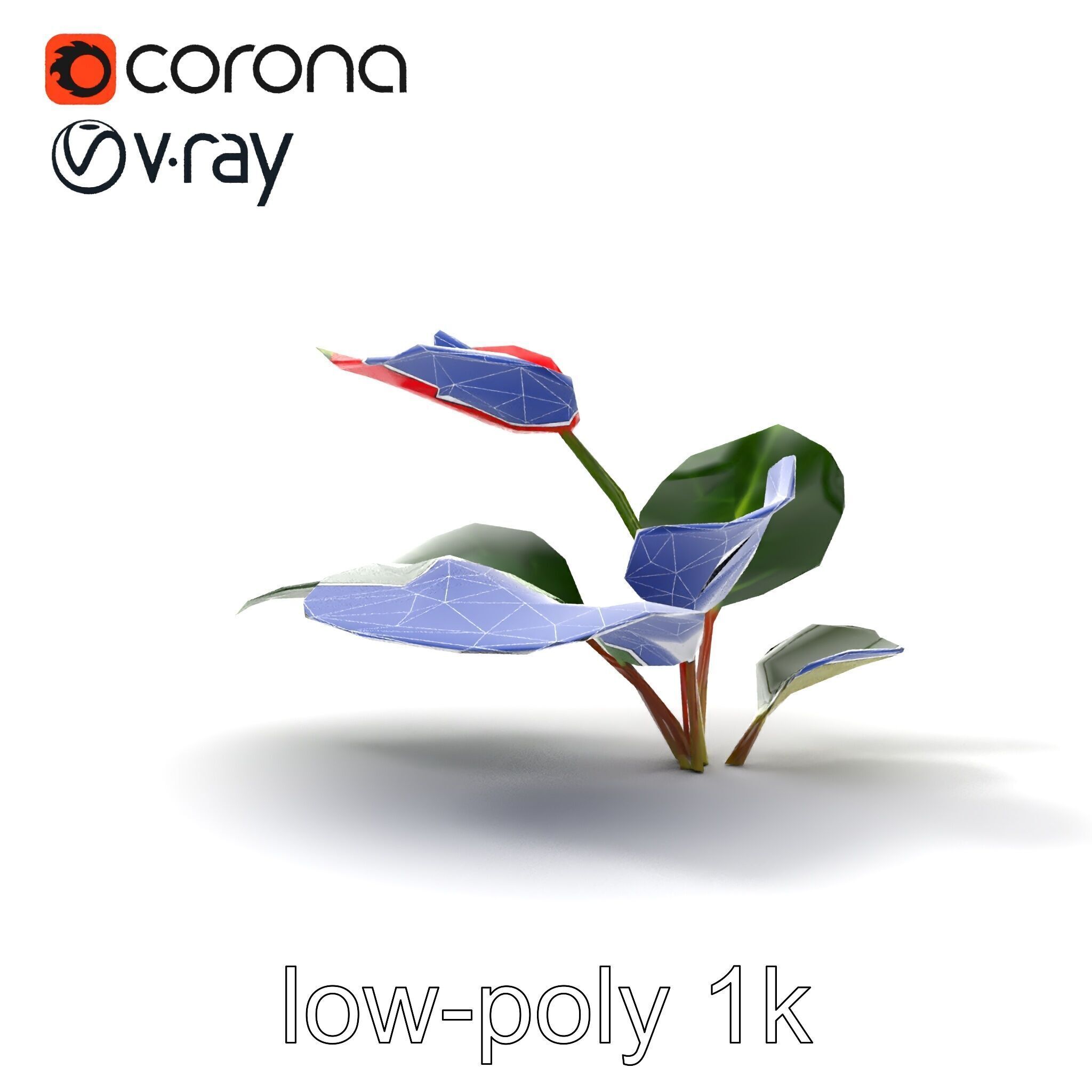 Anthurium Red Glossy Petals model pack Low-poly 3D model_28