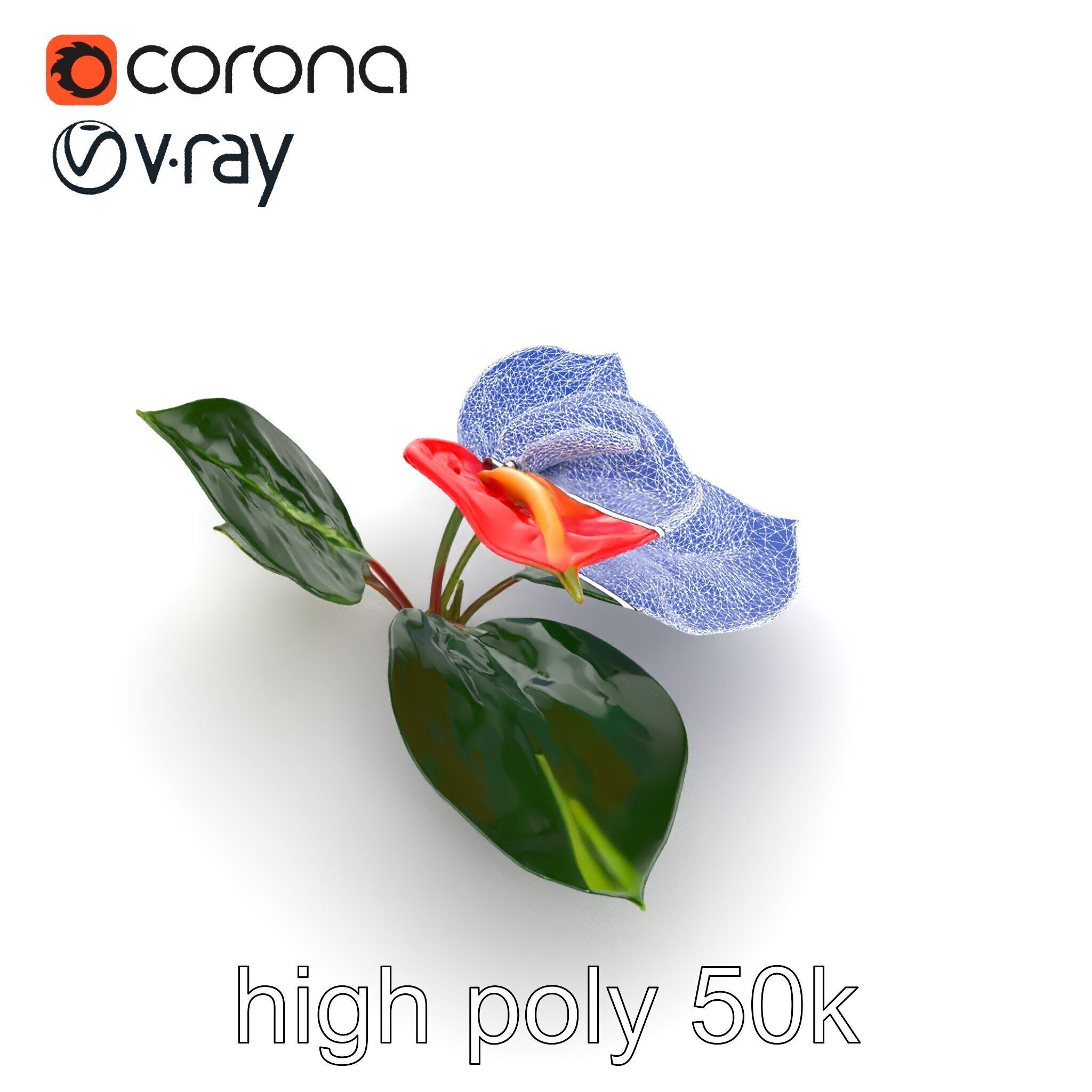 Anthurium Red Glossy Petals model pack Low-poly 3D model_27