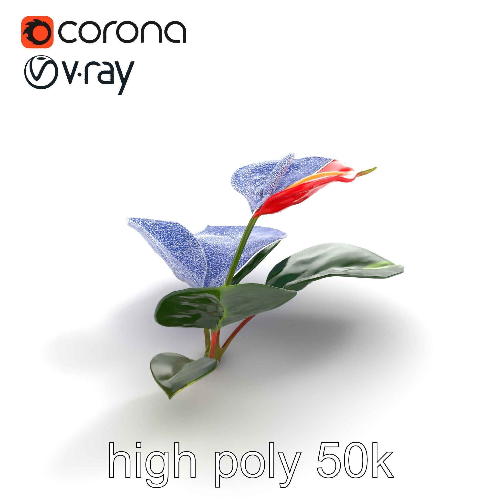 Anthurium Red Glossy Petals model pack Low-poly 3D model_16