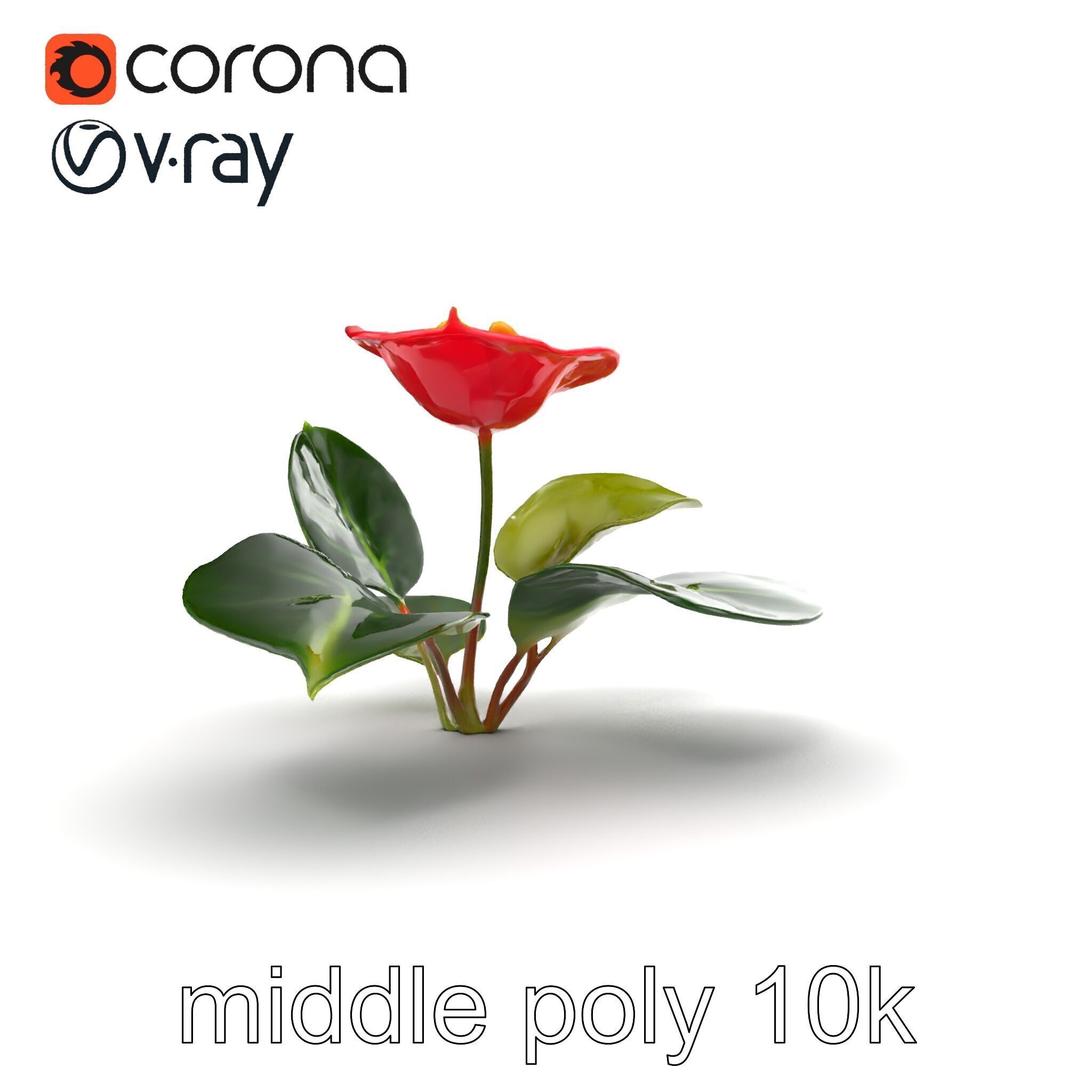 Anthurium Red Glossy Petals model pack Low-poly 3D model_25