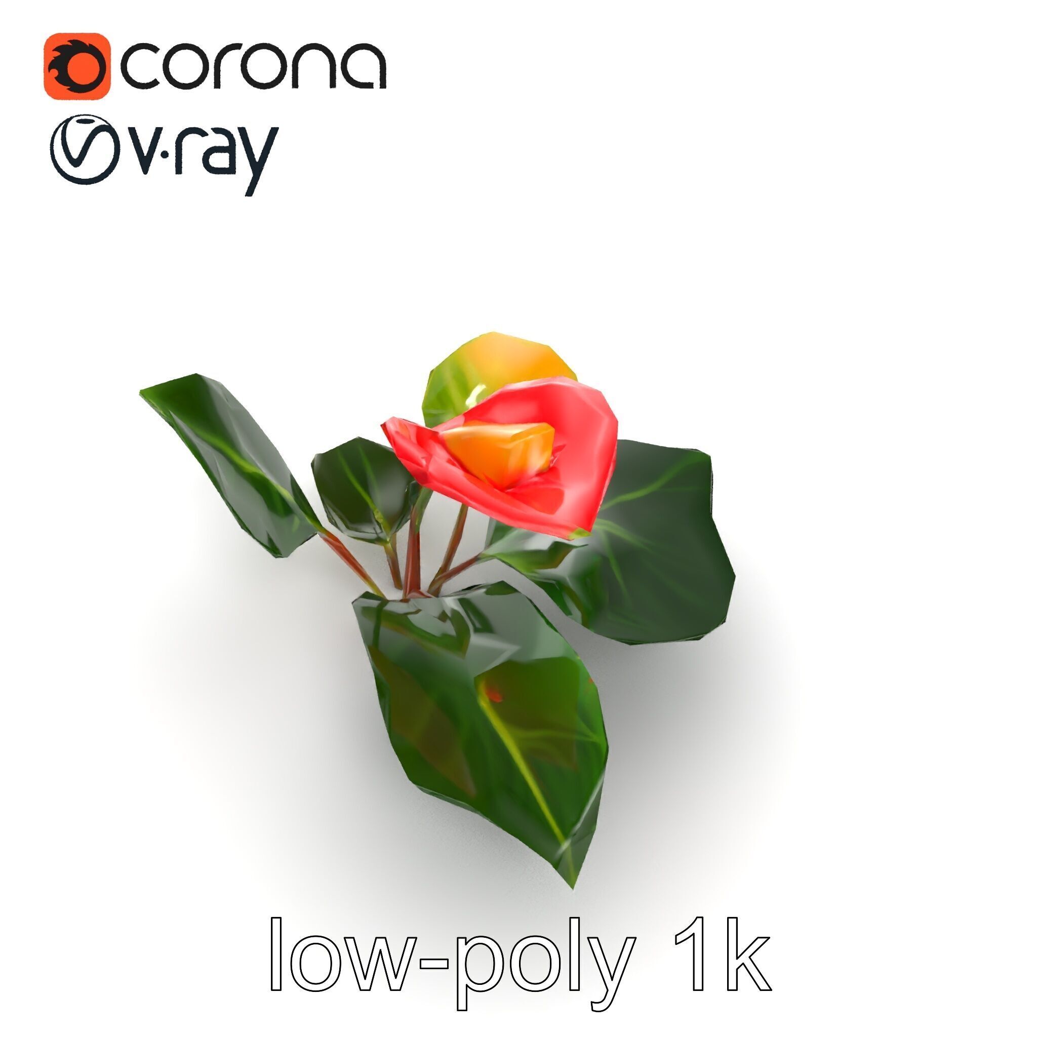 Anthurium Red Glossy Petals model pack Low-poly 3D model_18
