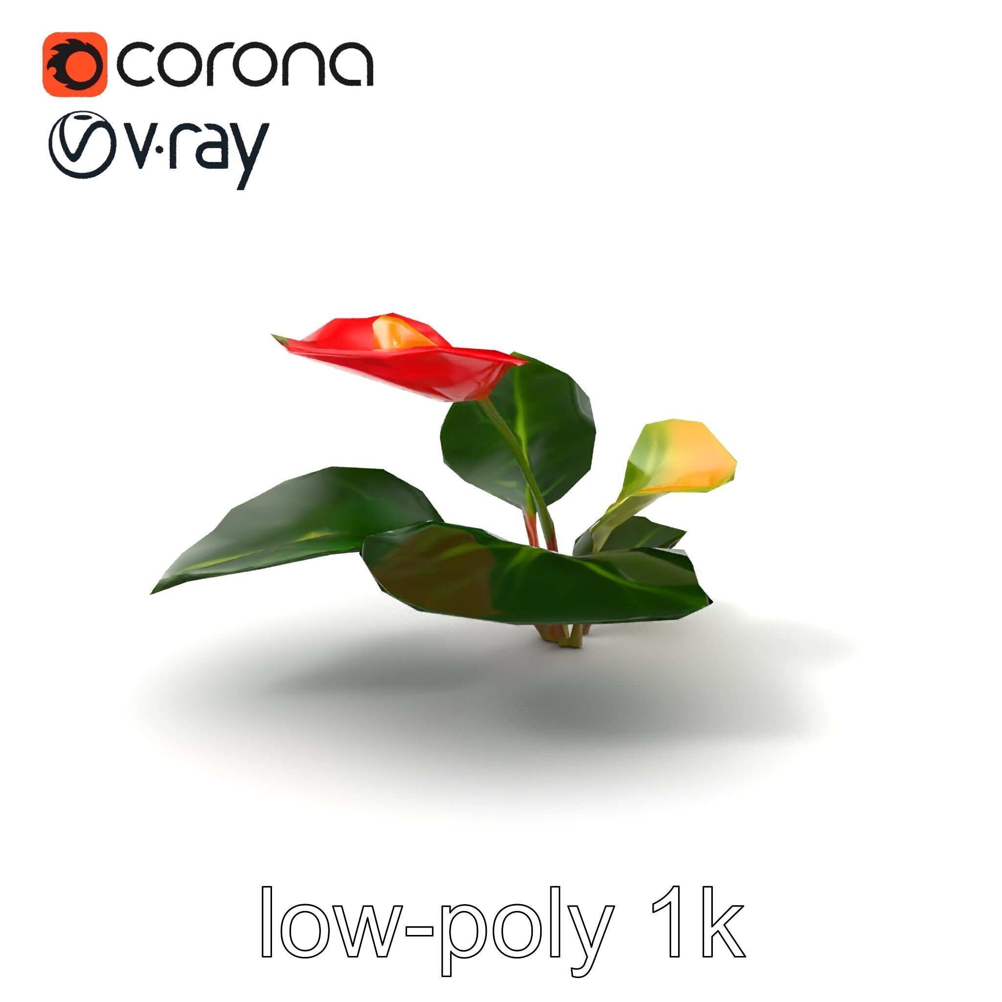 Anthurium Red Glossy Petals model pack Low-poly 3D model_4