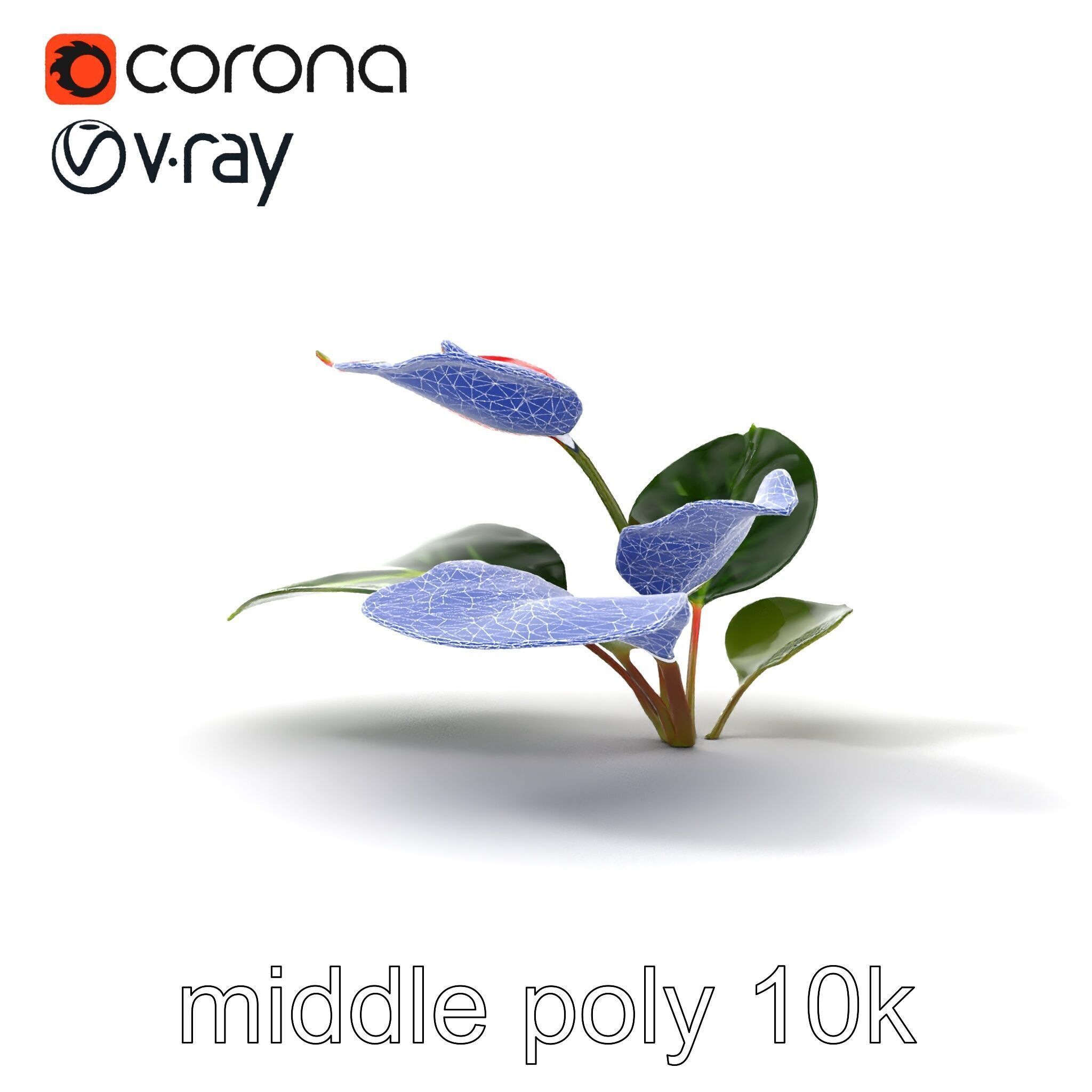 Anthurium Red Glossy Petals model pack Low-poly 3D model_22