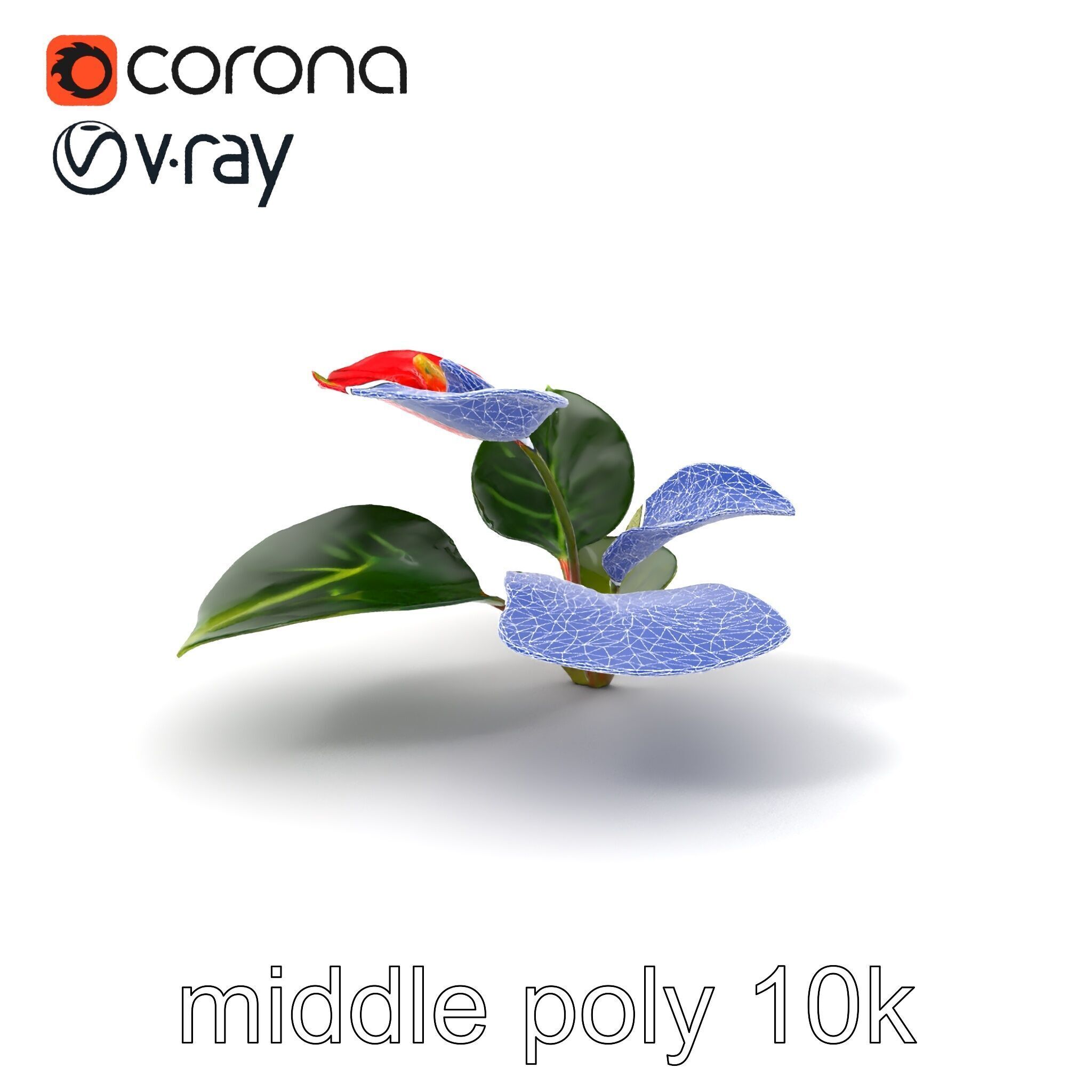 Anthurium Red Glossy Petals model pack Low-poly 3D model_5