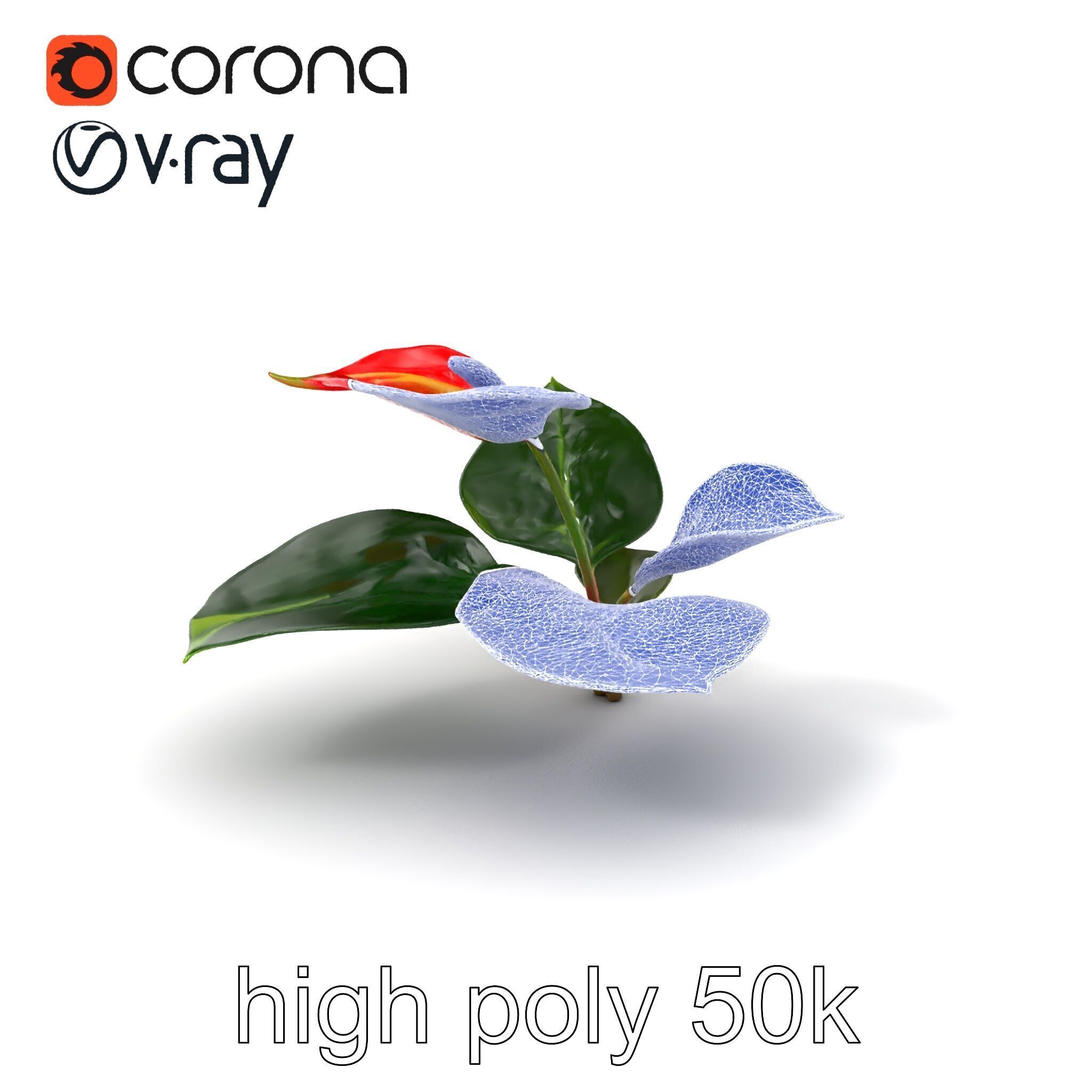 Anthurium Red Glossy Petals model pack Low-poly 3D model_1