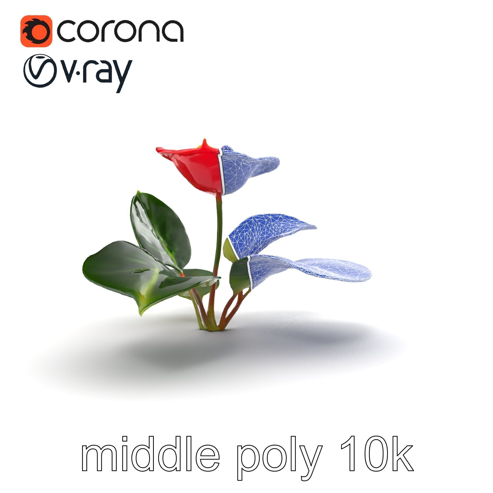 Anthurium Red Glossy Petals model pack Low-poly 3D model_26