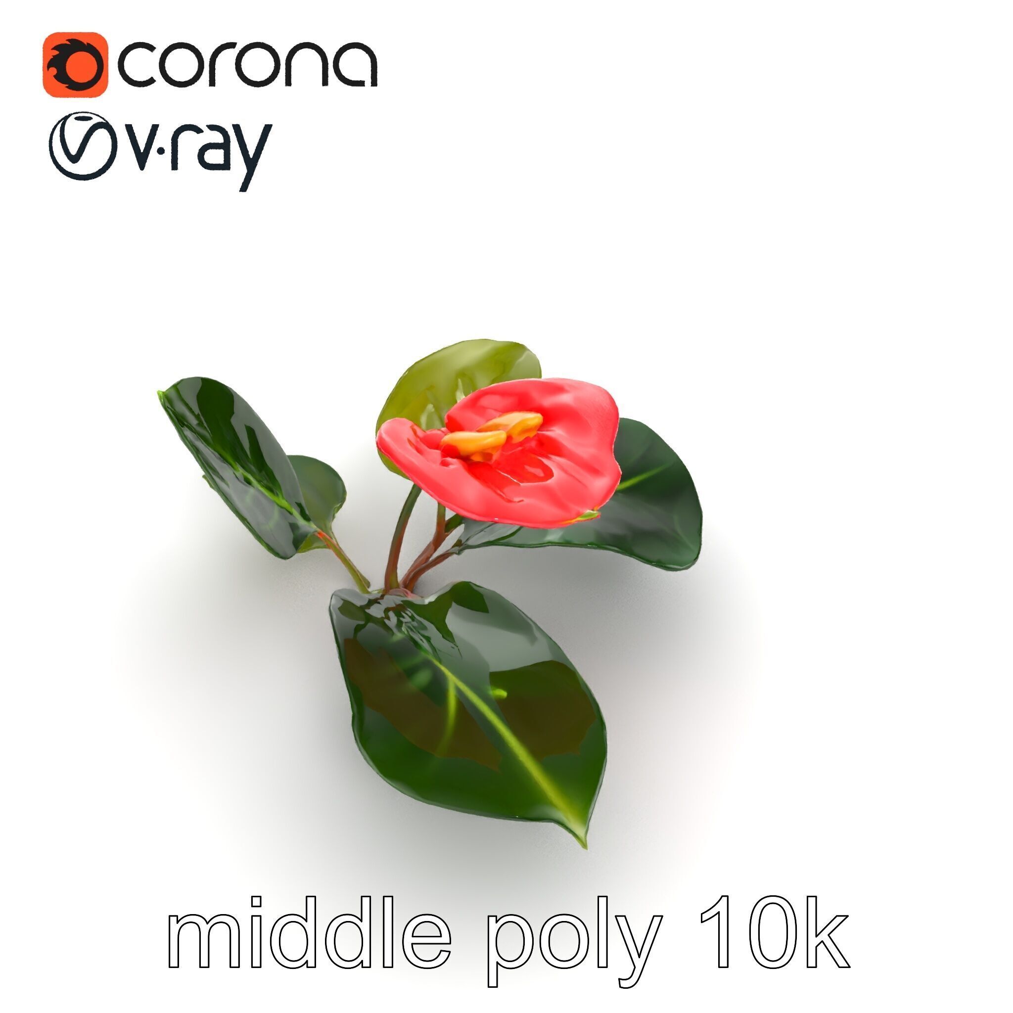 Anthurium Red Glossy Petals model pack Low-poly 3D model_17