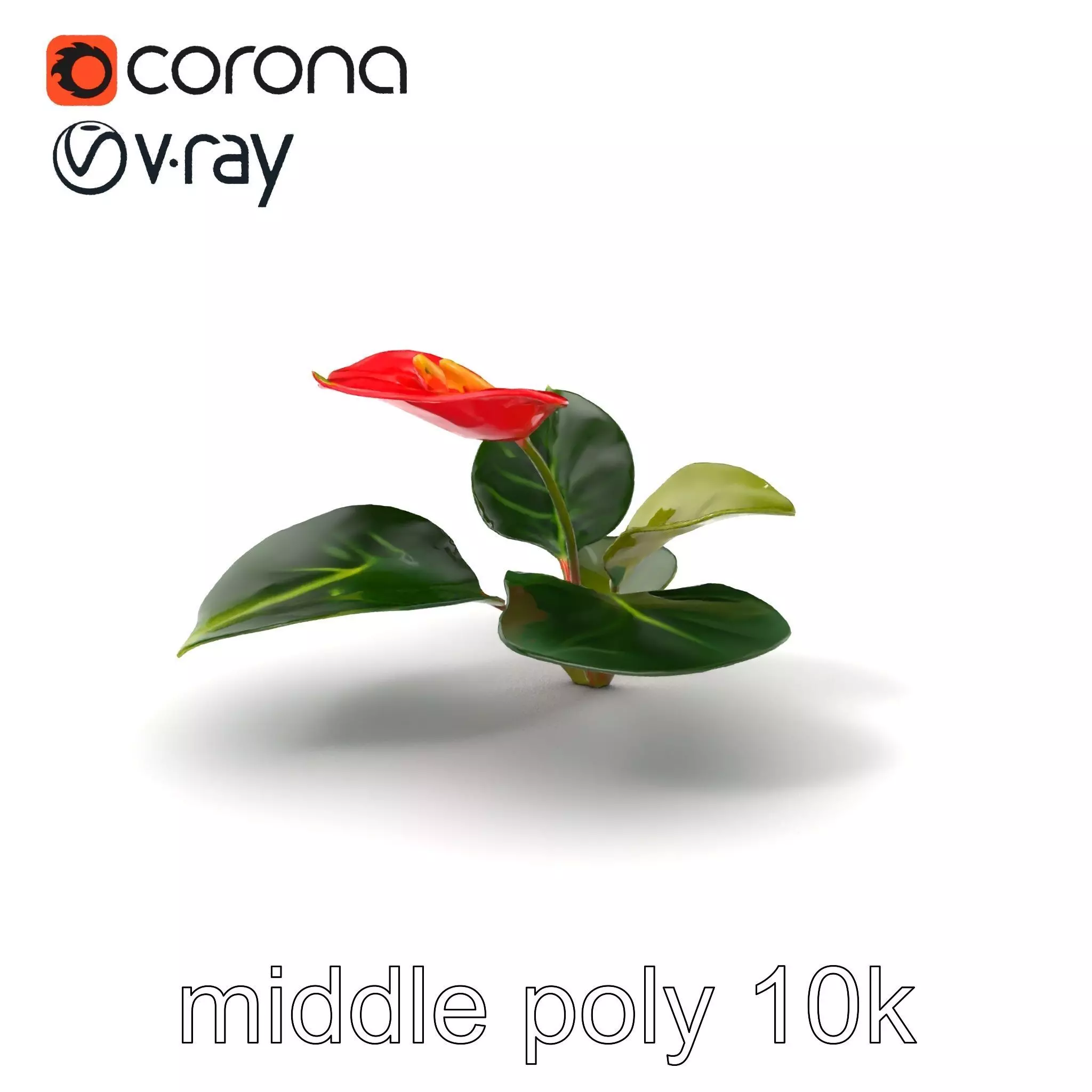 Anthurium Red Glossy Petals model pack Low-poly 3D model_0