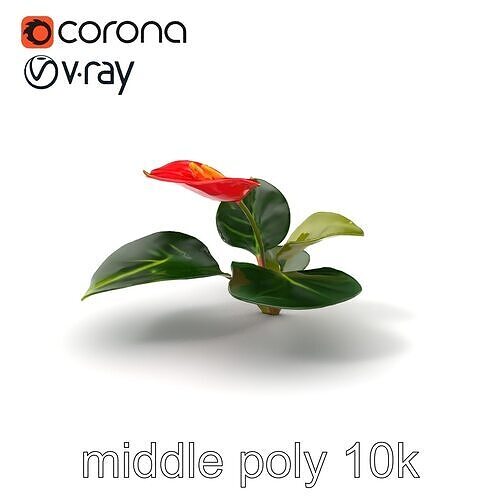 Anthurium Red Glossy Petals model pack Low-poly 3D model