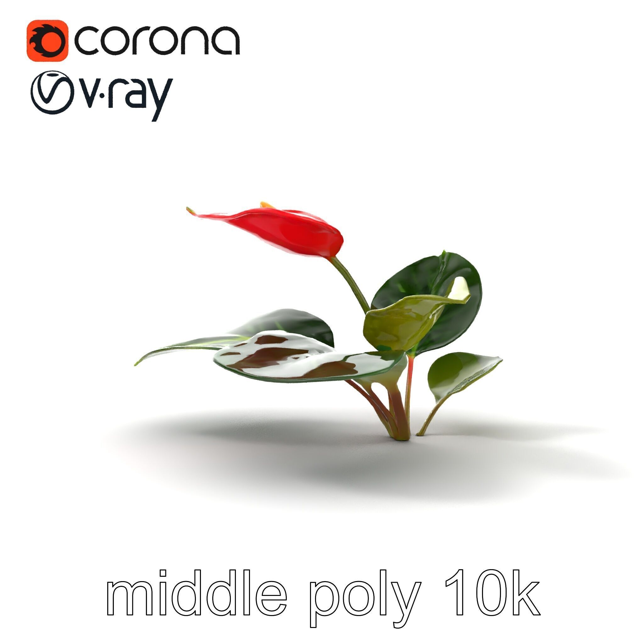 Anthurium Red Glossy Petals model pack Low-poly 3D model_23