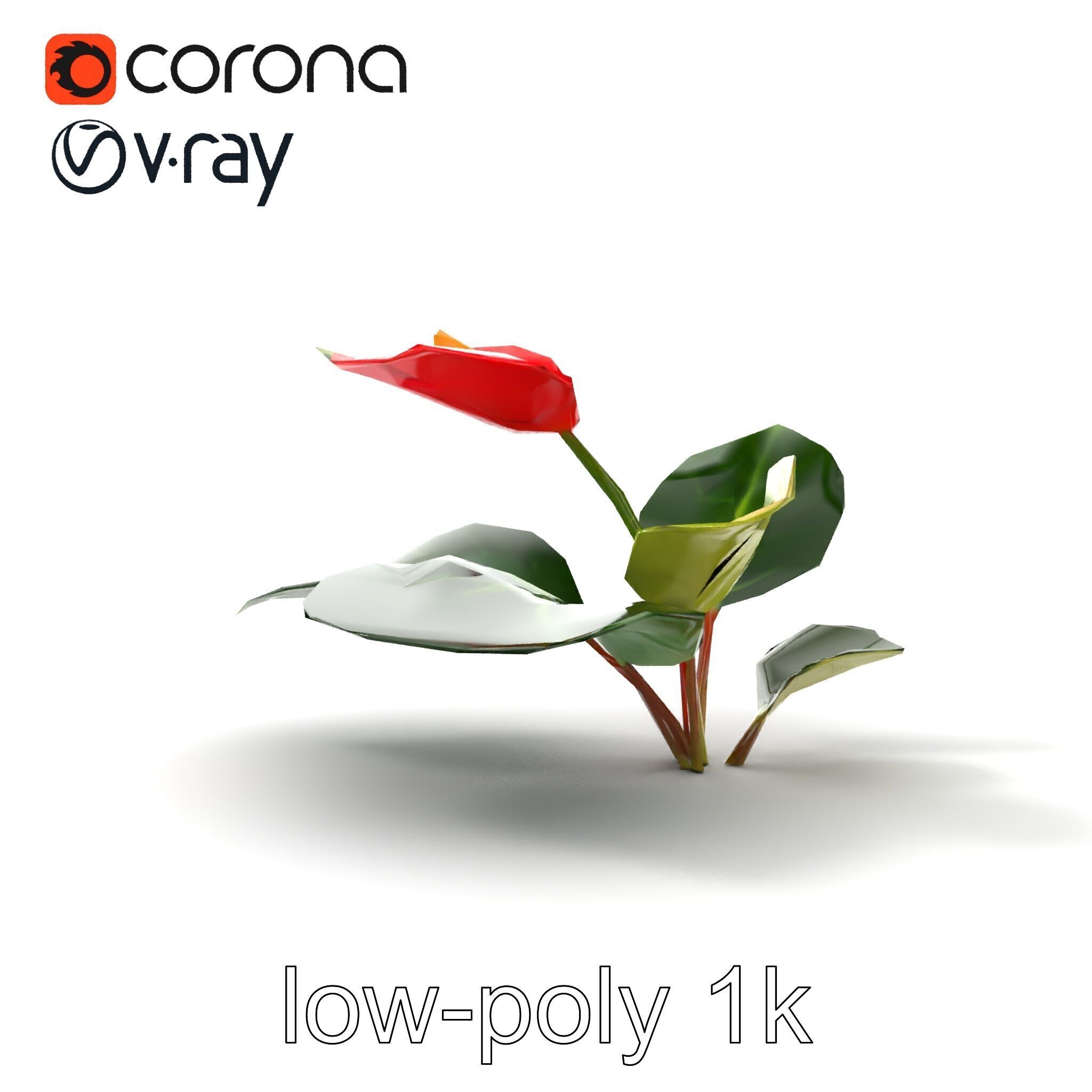 Anthurium Red Glossy Petals model pack Low-poly 3D model_12