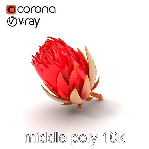 Vibrant Red Protea Flower Realistic Model Pack Low-poly 3D model