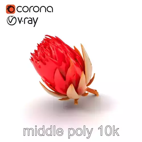 Vibrant Red Protea Flower Realistic Model Pack Low-poly 3D model