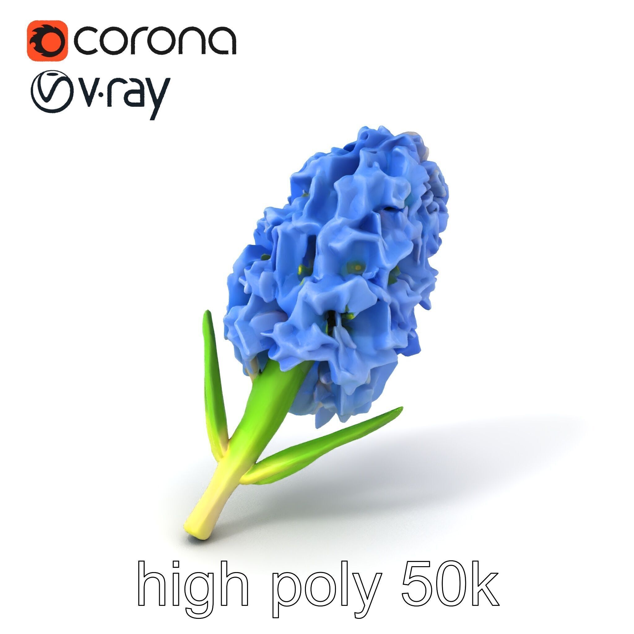 Double Hyacinth Layered Petal Fullness model pack Low-poly 3D model_2