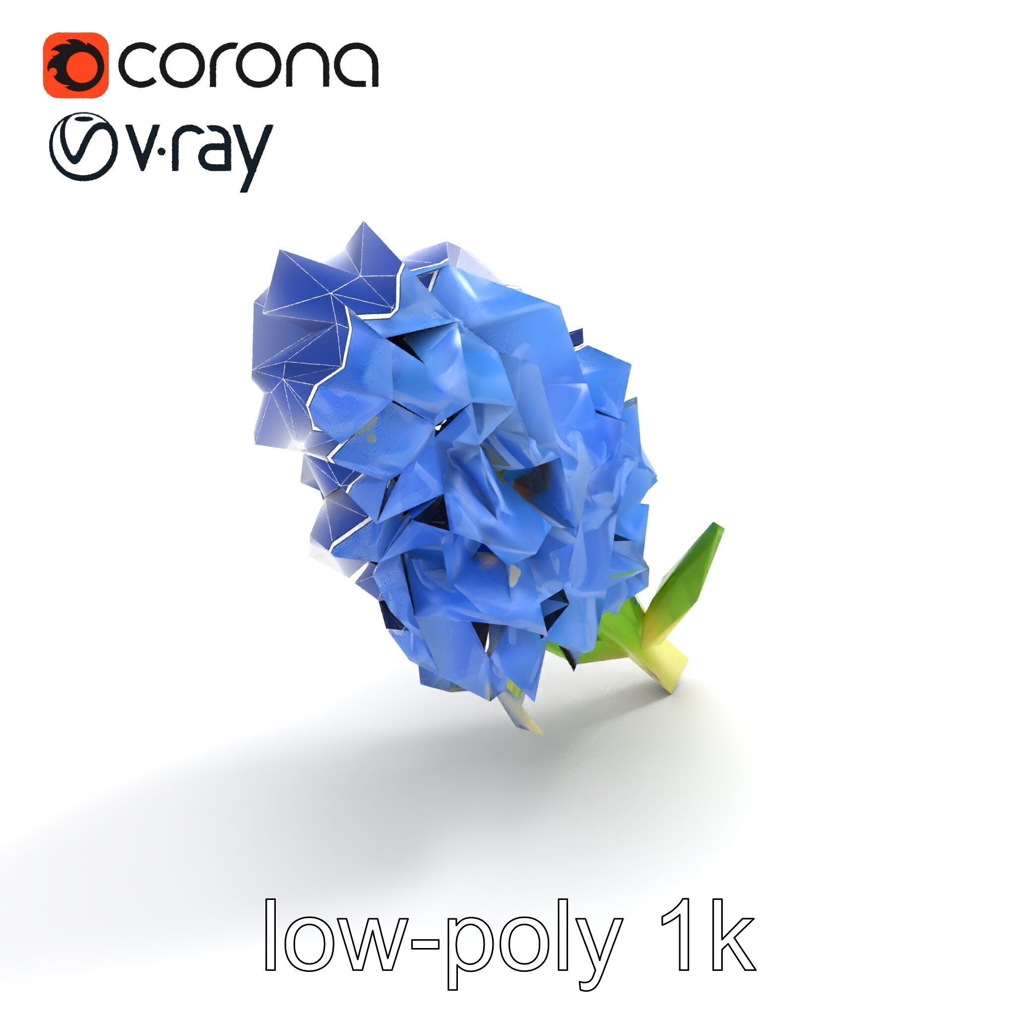 Double Hyacinth Layered Petal Fullness model pack Low-poly 3D model_10