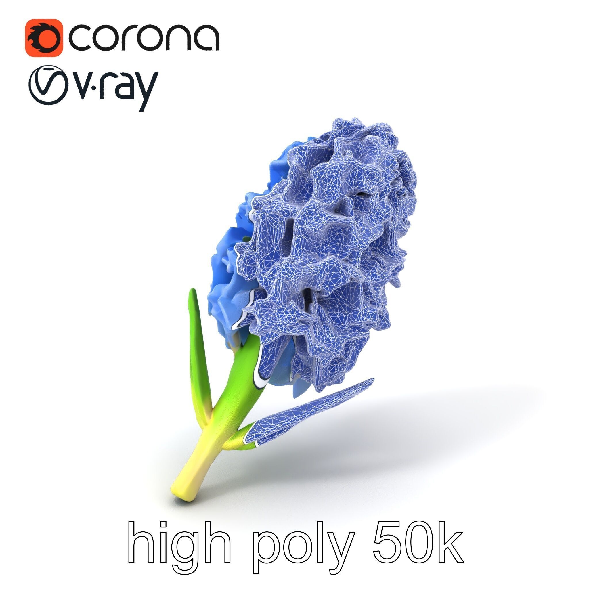 Double Hyacinth Layered Petal Fullness model pack Low-poly 3D model_1