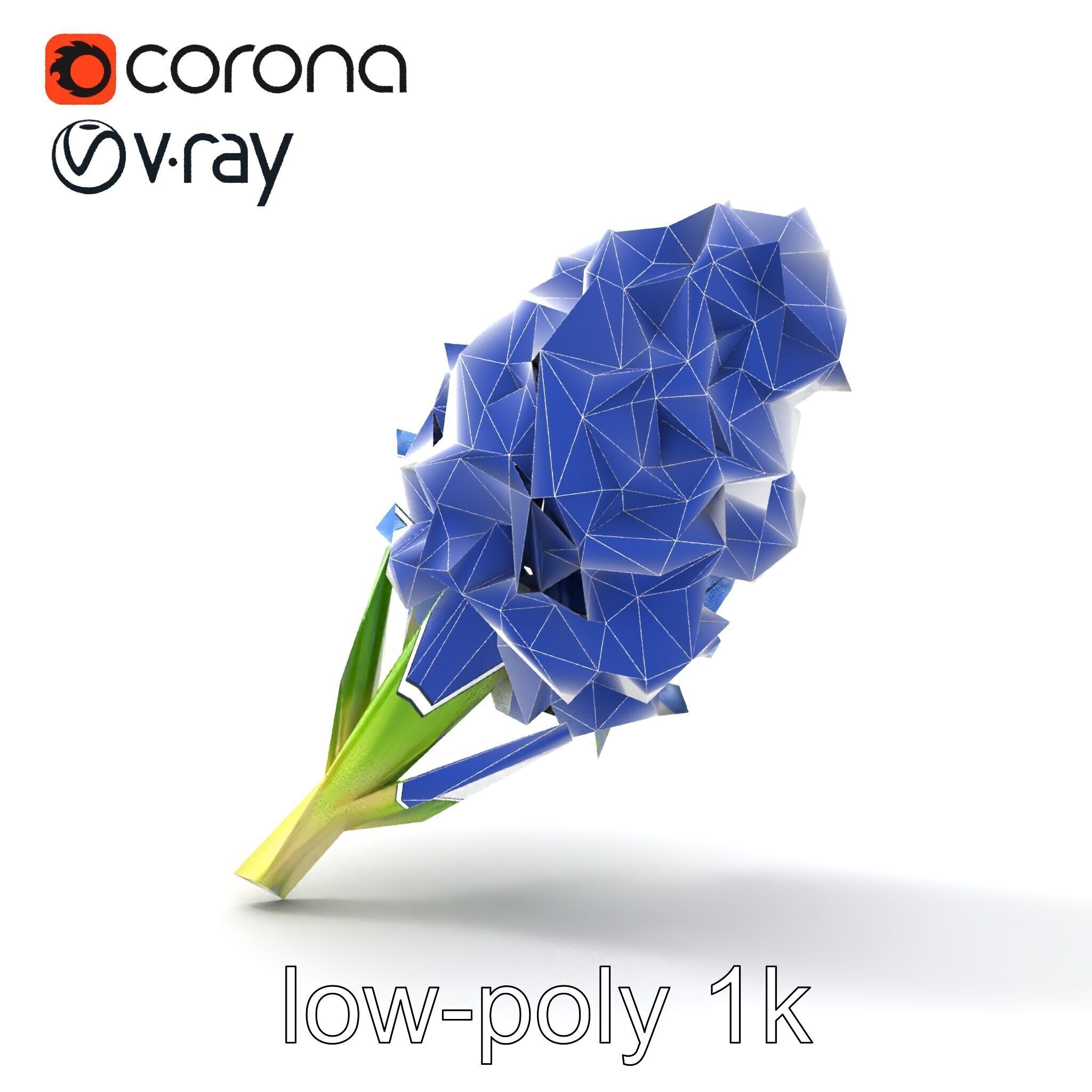 Double Hyacinth Layered Petal Fullness model pack Low-poly 3D model_17
