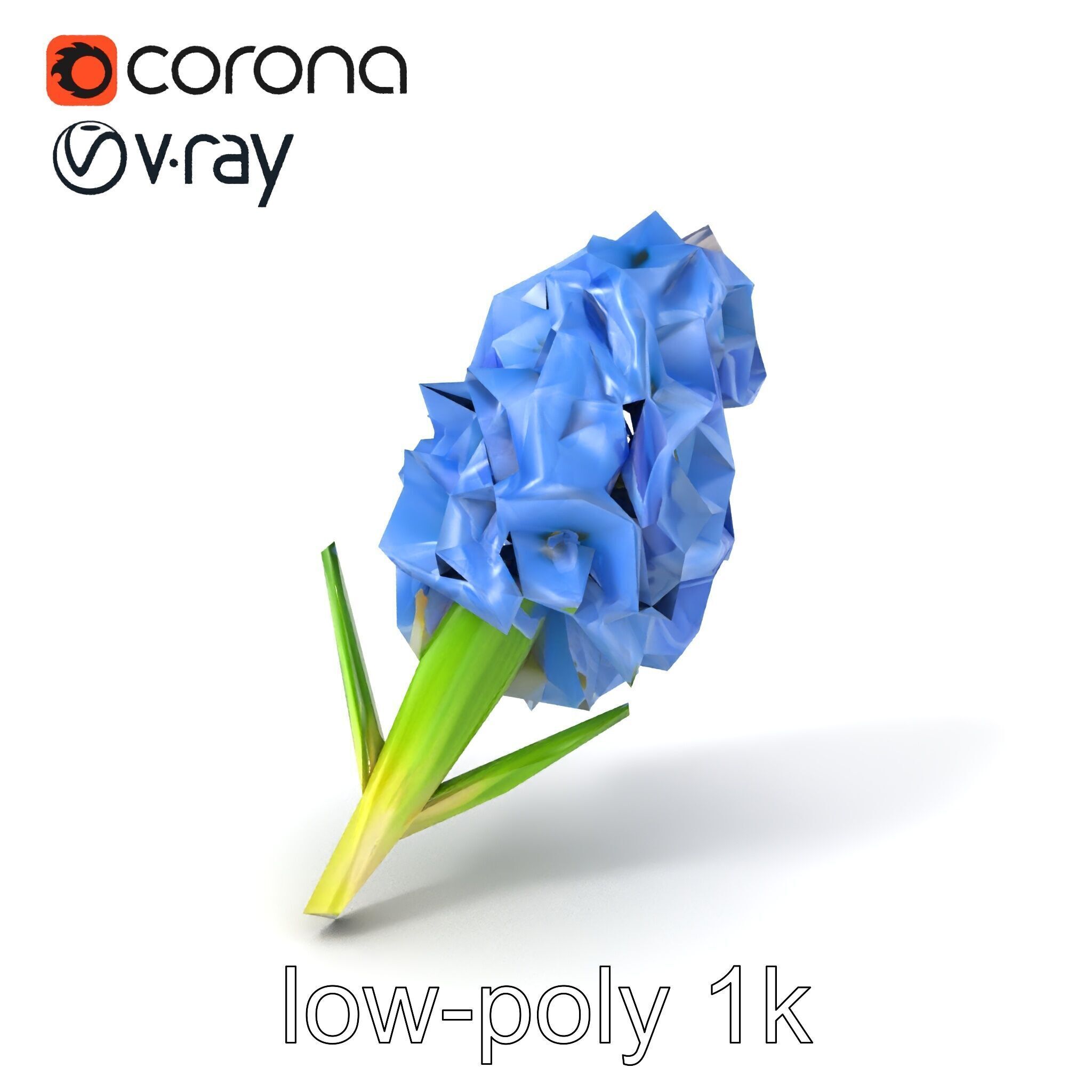Double Hyacinth Layered Petal Fullness model pack Low-poly 3D model_4