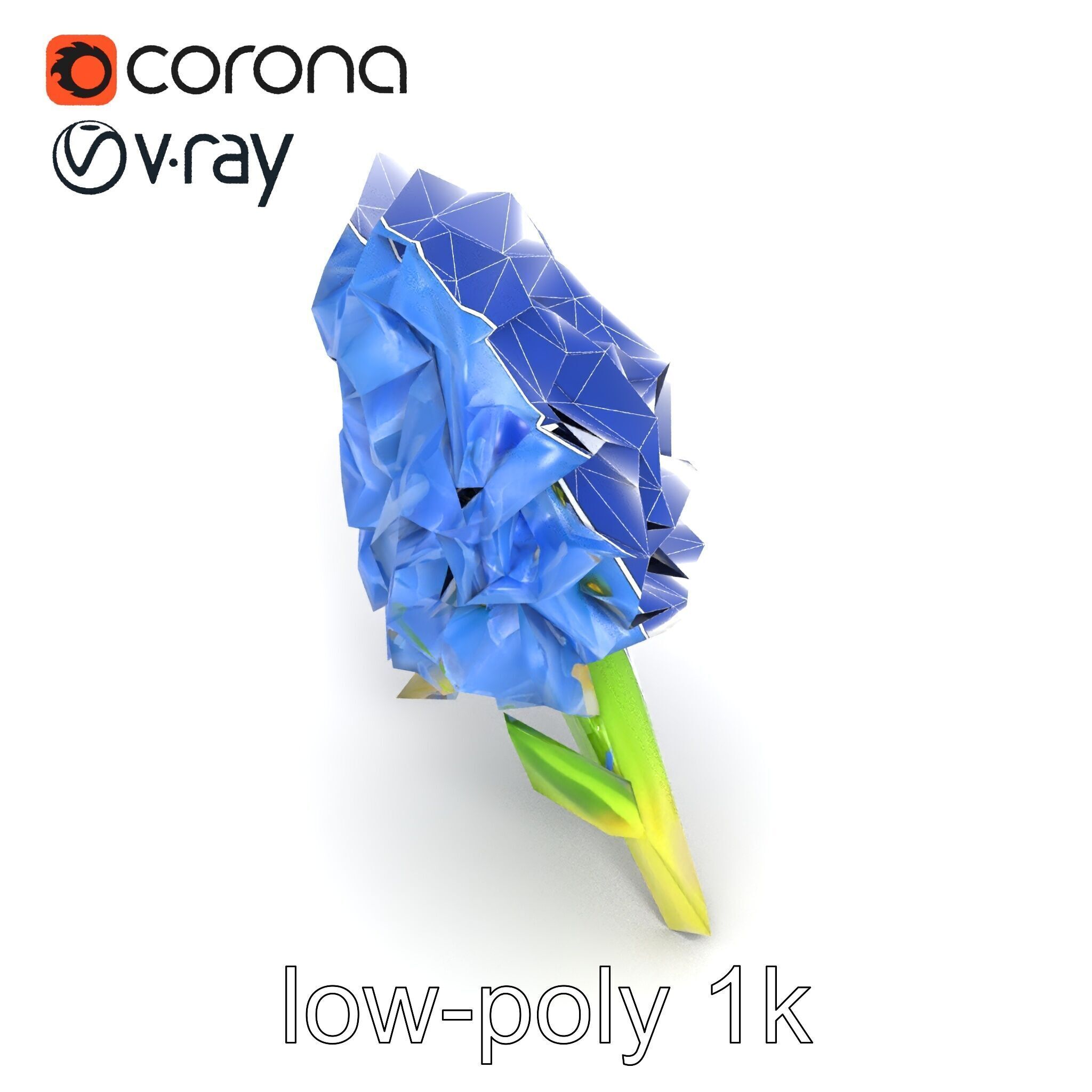 Double Hyacinth Layered Petal Fullness model pack Low-poly 3D model_21