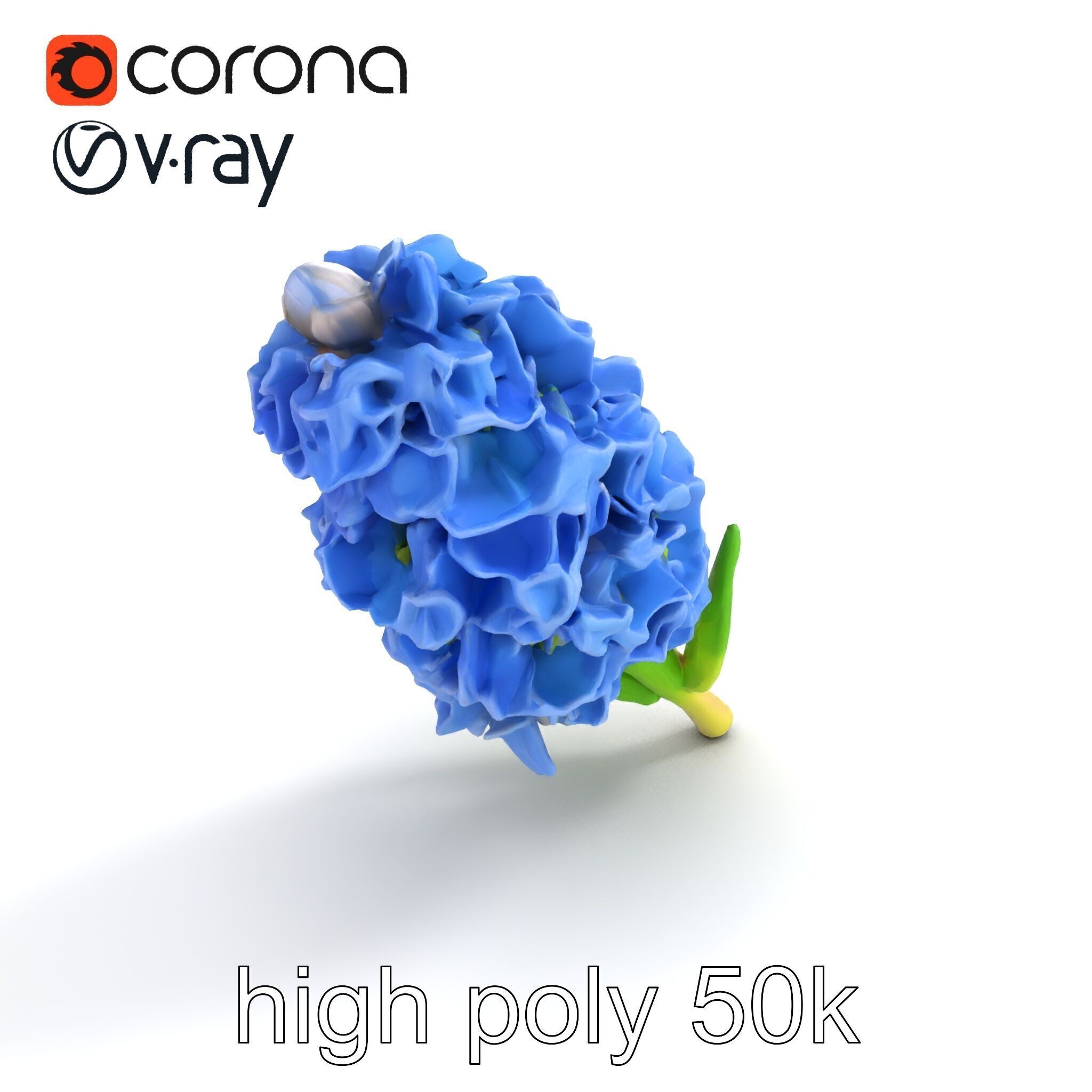 Double Hyacinth Layered Petal Fullness model pack Low-poly 3D model_9