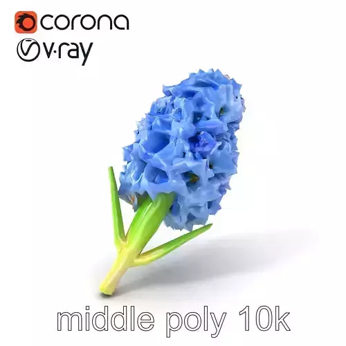 Double Hyacinth Layered Petal Fullness model pack
