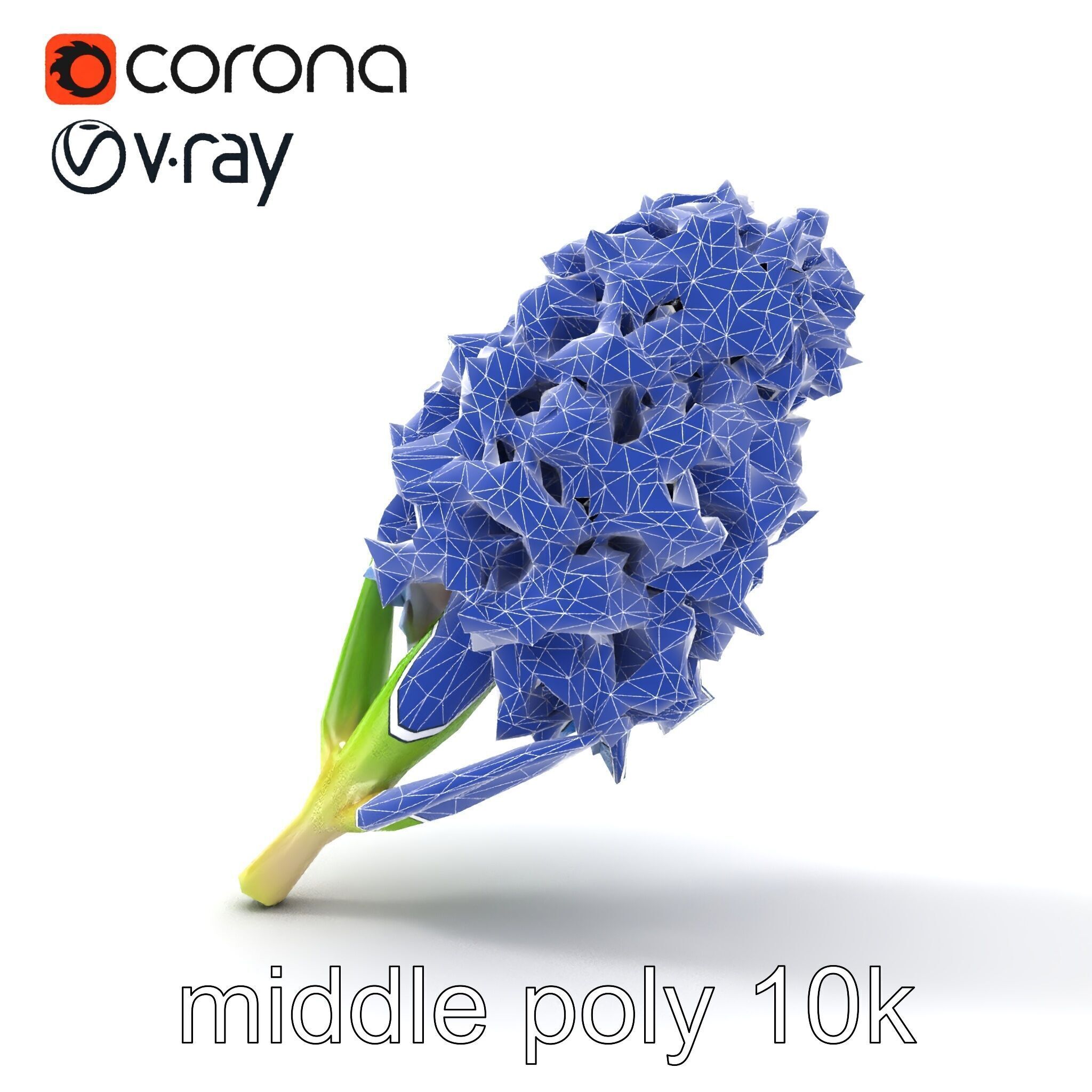 Double Hyacinth Layered Petal Fullness model pack Low-poly 3D model_28