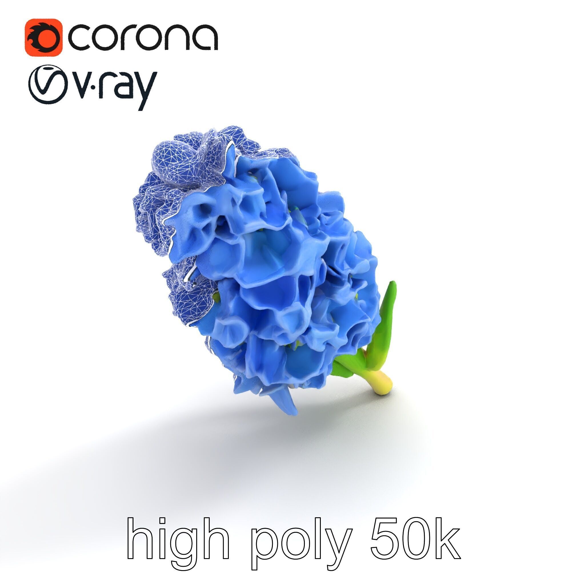 Double Hyacinth Layered Petal Fullness model pack Low-poly 3D model_27