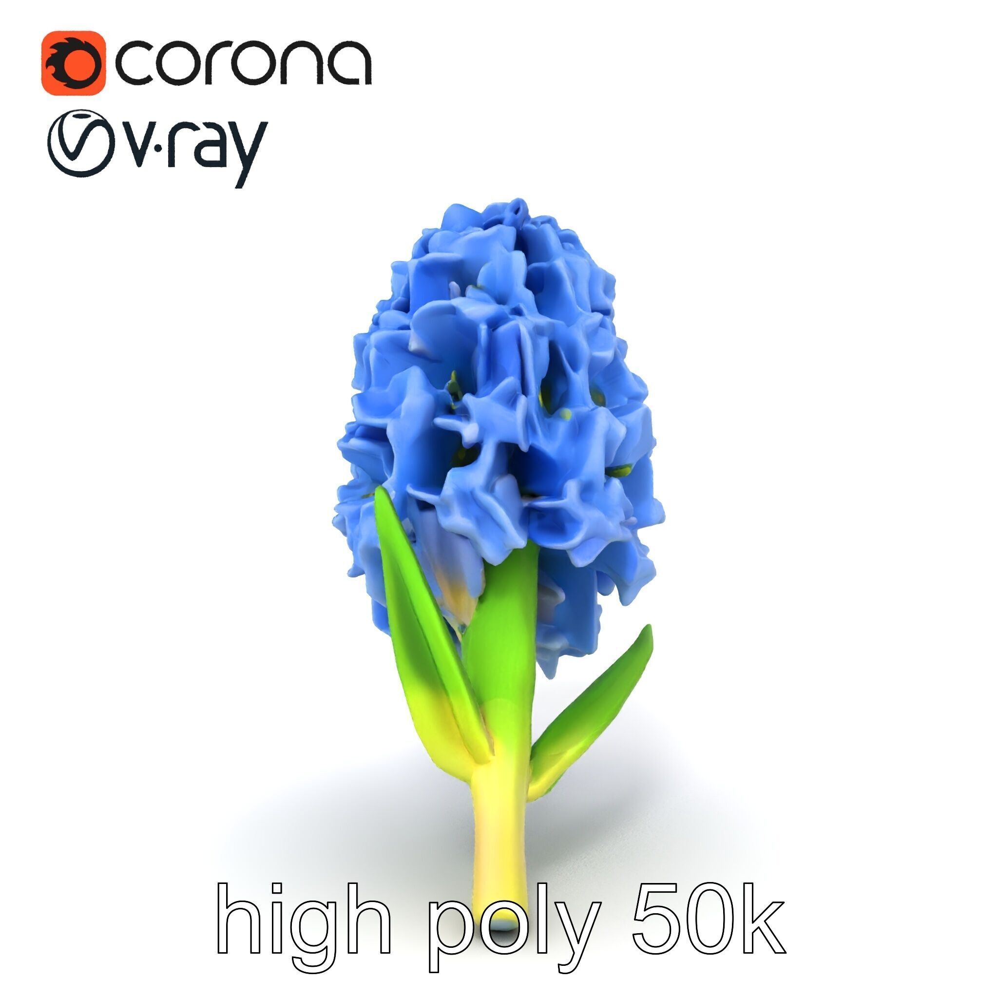 Double Hyacinth Layered Petal Fullness model pack Low-poly 3D model_16