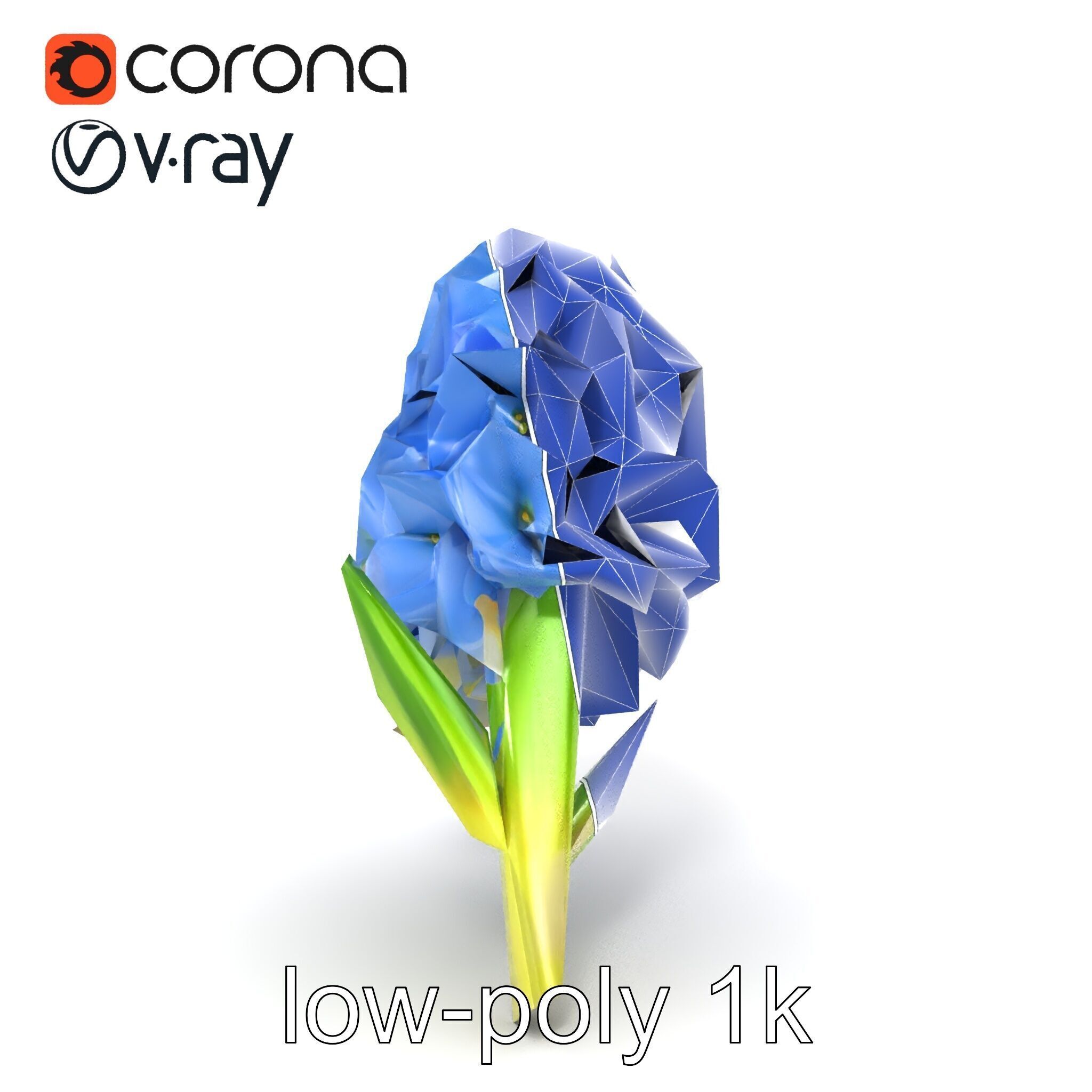 Double Hyacinth Layered Petal Fullness model pack Low-poly 3D model_15