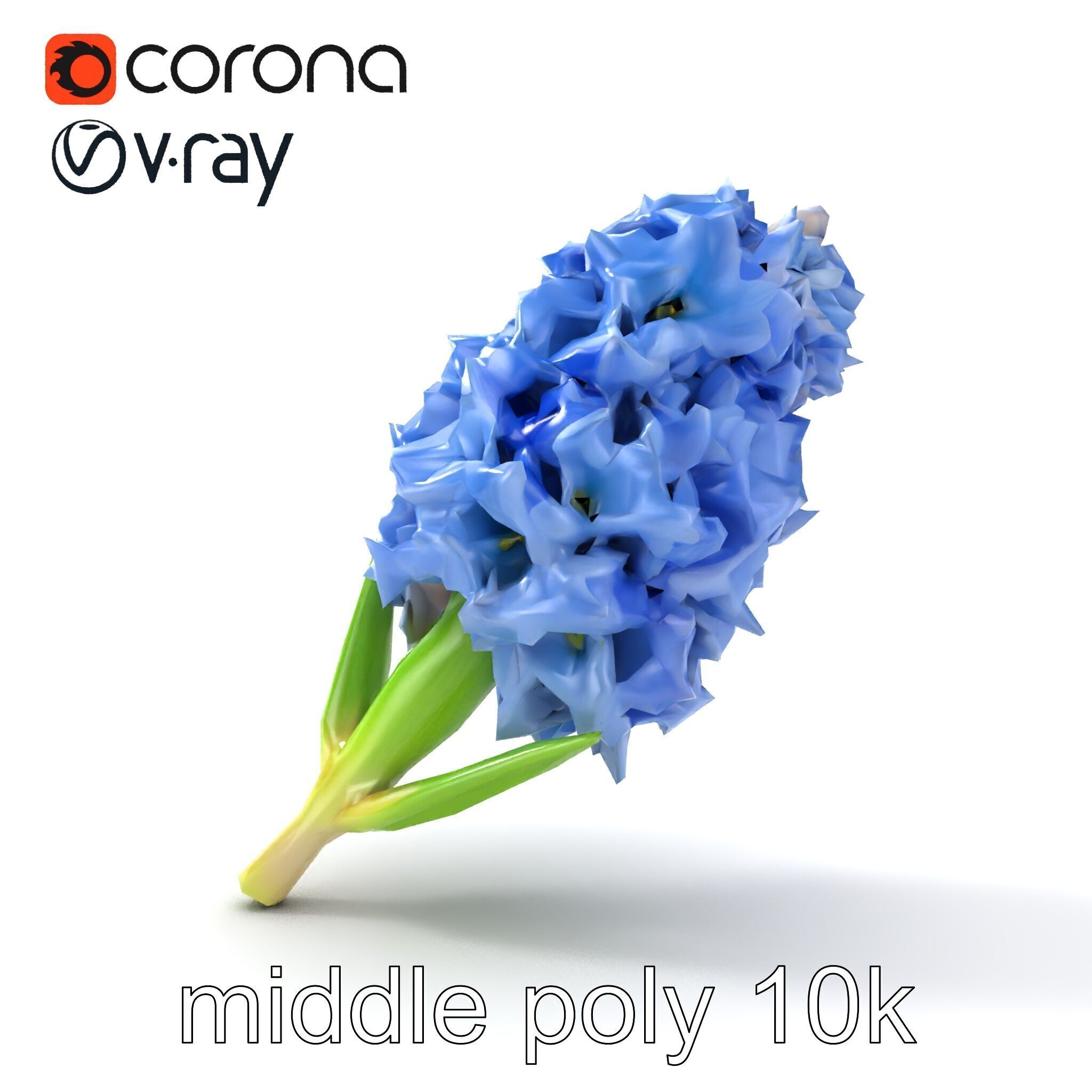 Double Hyacinth Layered Petal Fullness model pack Low-poly 3D model_19