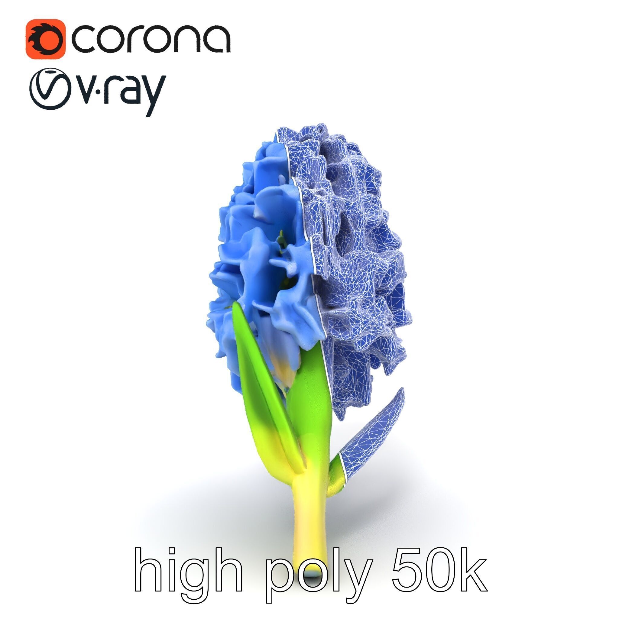 Double Hyacinth Layered Petal Fullness model pack Low-poly 3D model_18