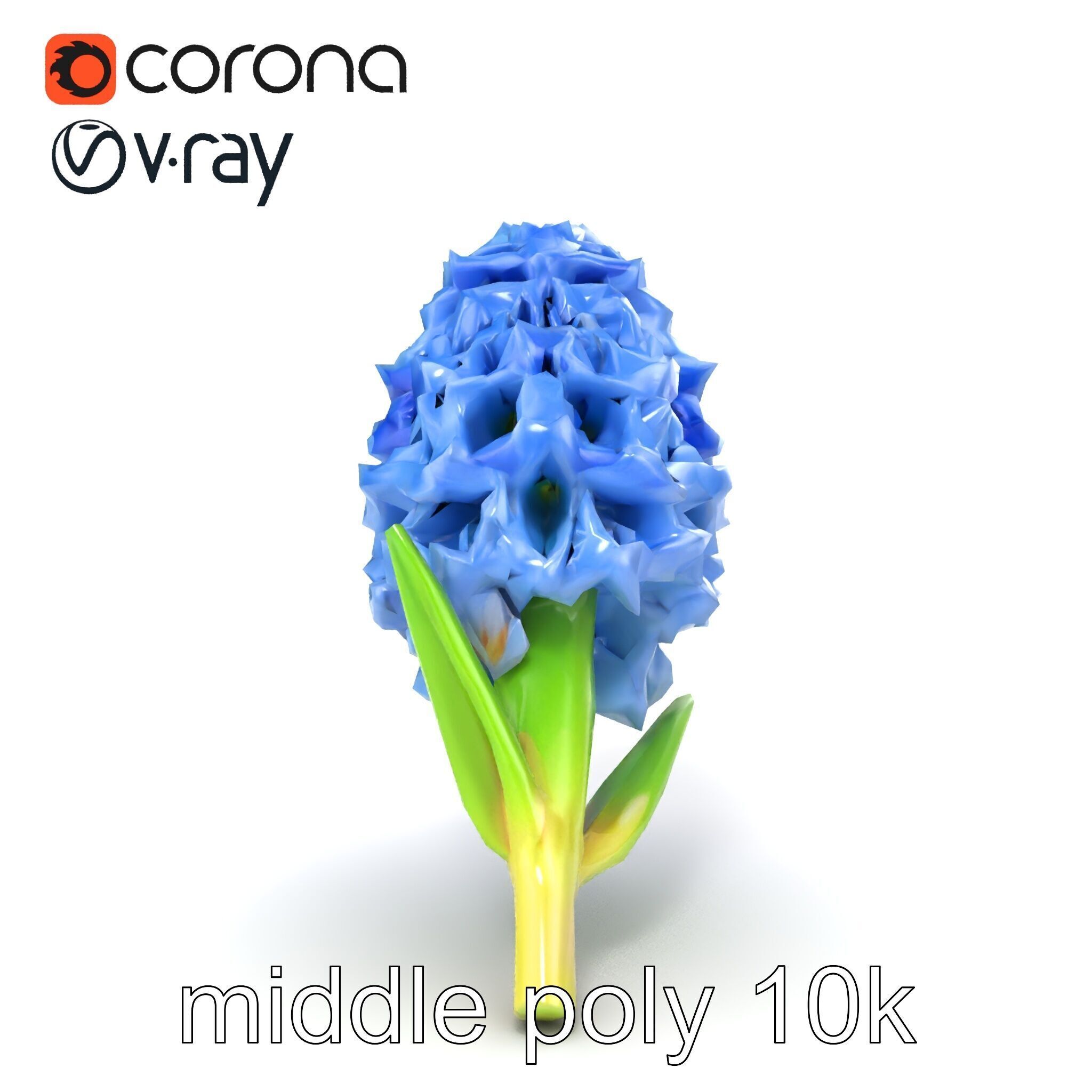 Double Hyacinth Layered Petal Fullness model pack Low-poly 3D model_11
