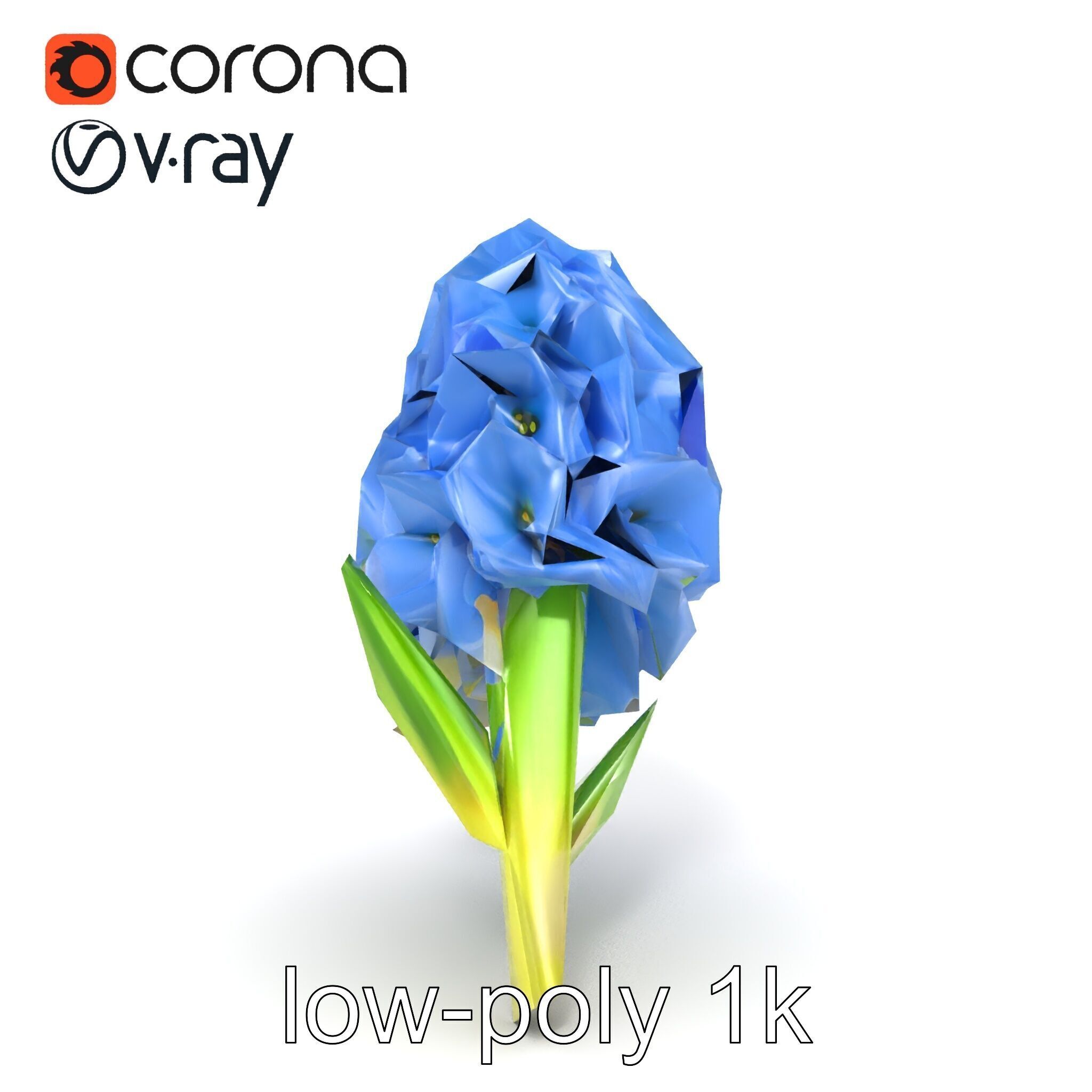 Double Hyacinth Layered Petal Fullness model pack Low-poly 3D model_22