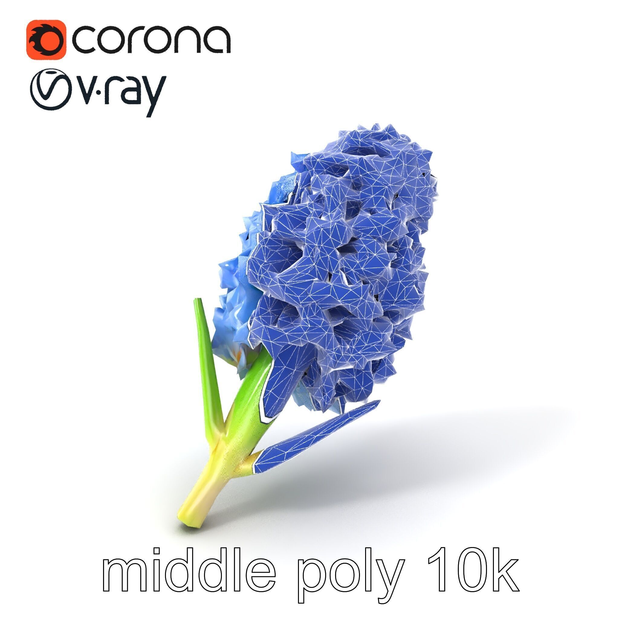 Double Hyacinth Layered Petal Fullness model pack Low-poly 3D model_5