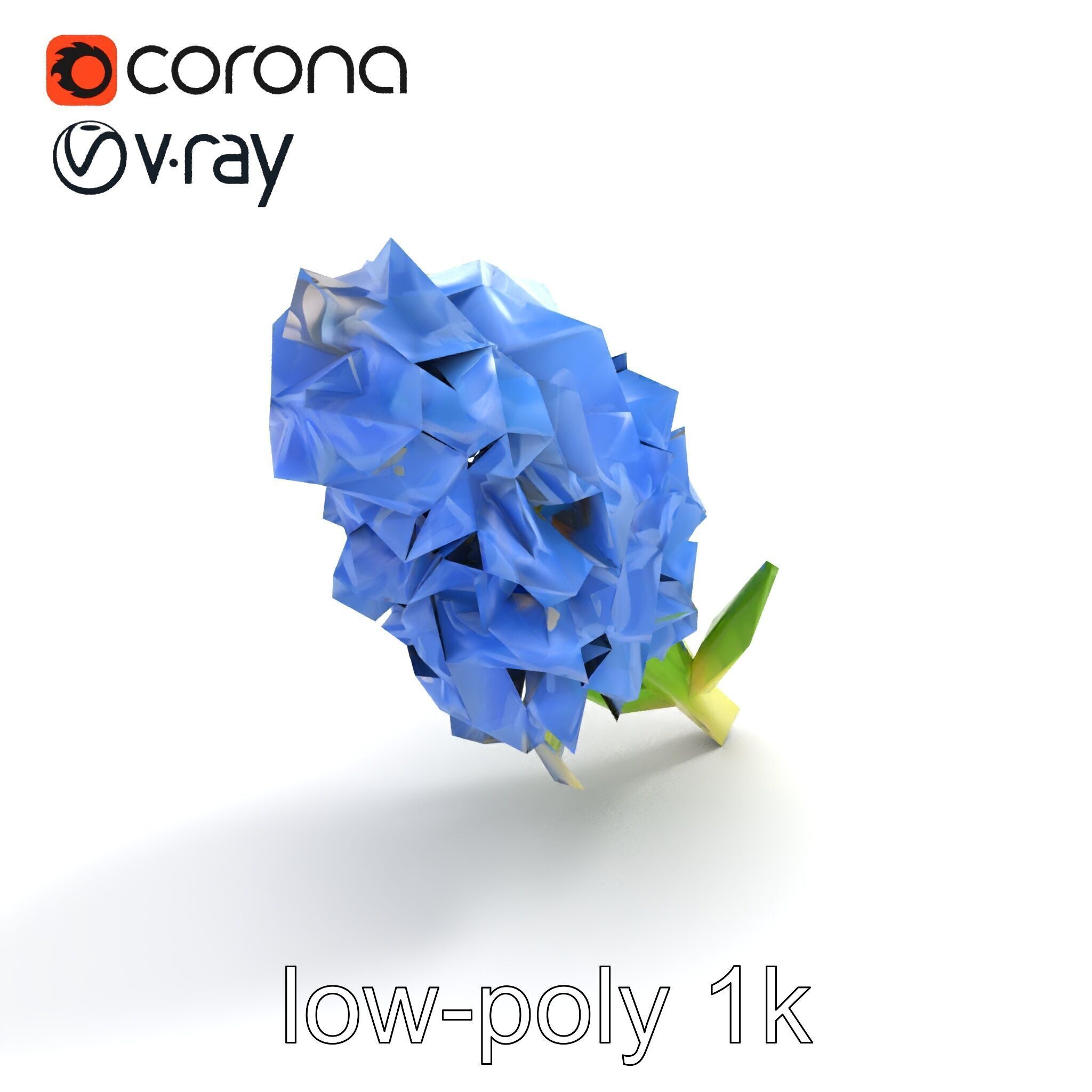 Double Hyacinth Layered Petal Fullness model pack Low-poly 3D model_8
