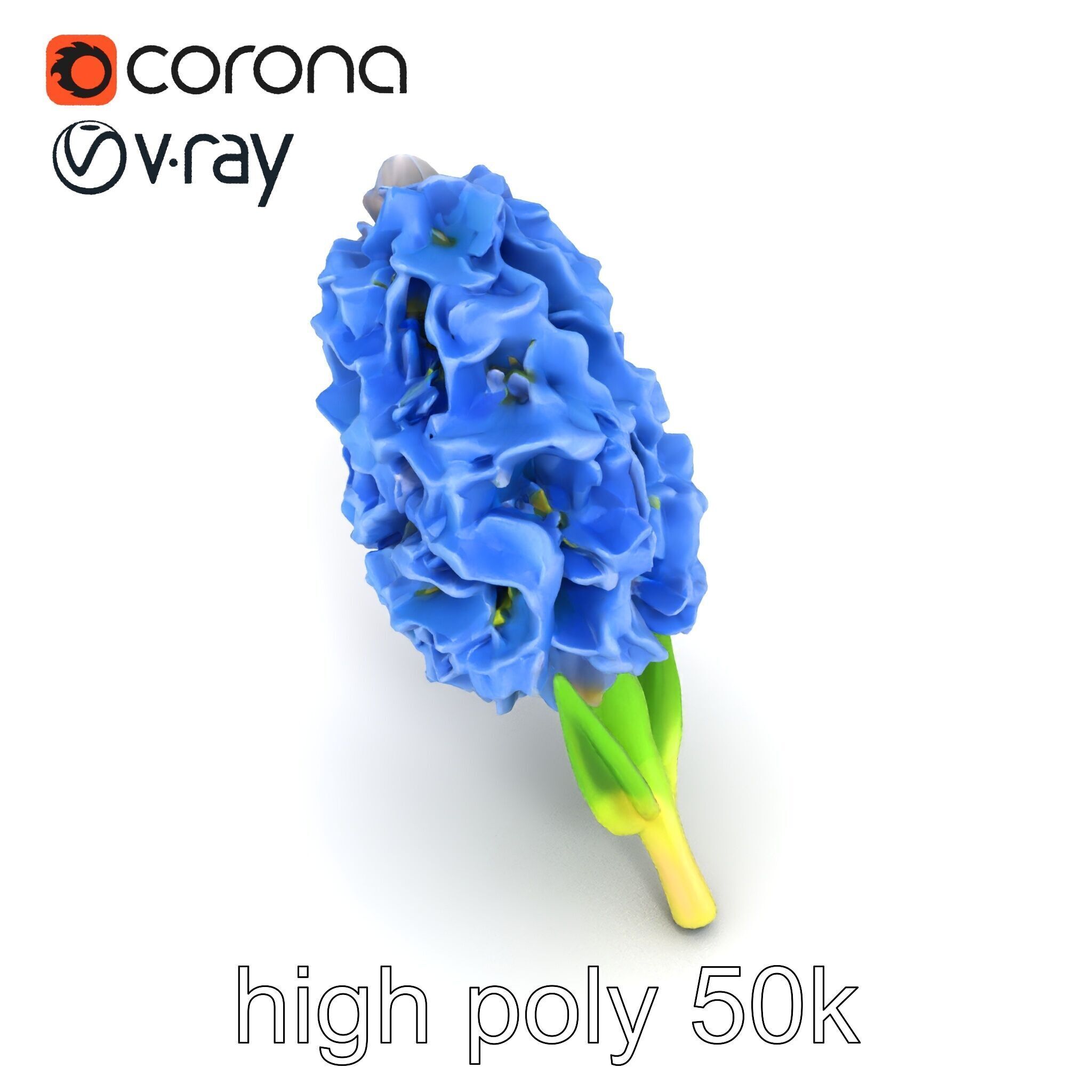 Double Hyacinth Layered Petal Fullness model pack Low-poly 3D model_29