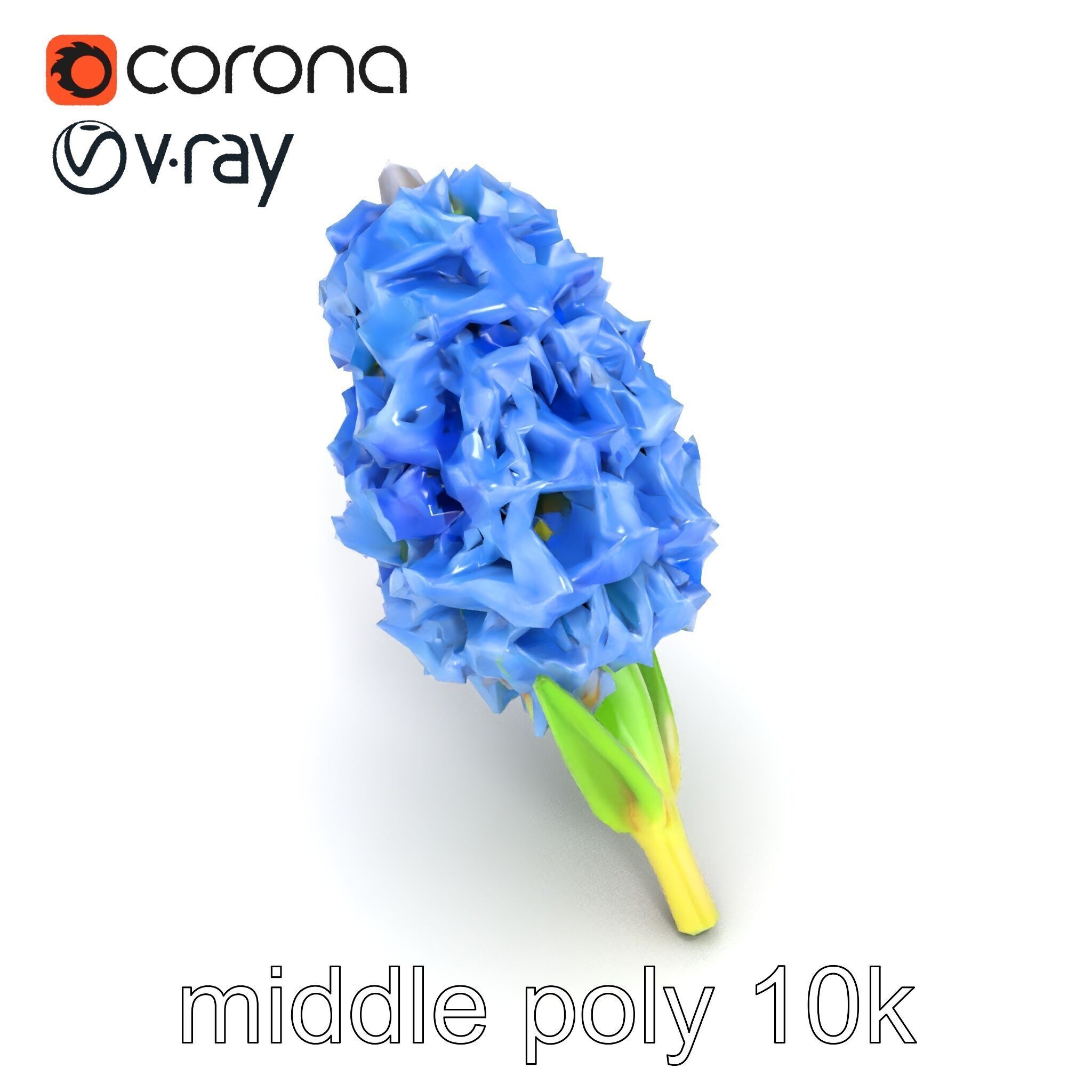 Double Hyacinth Layered Petal Fullness model pack Low-poly 3D model_12