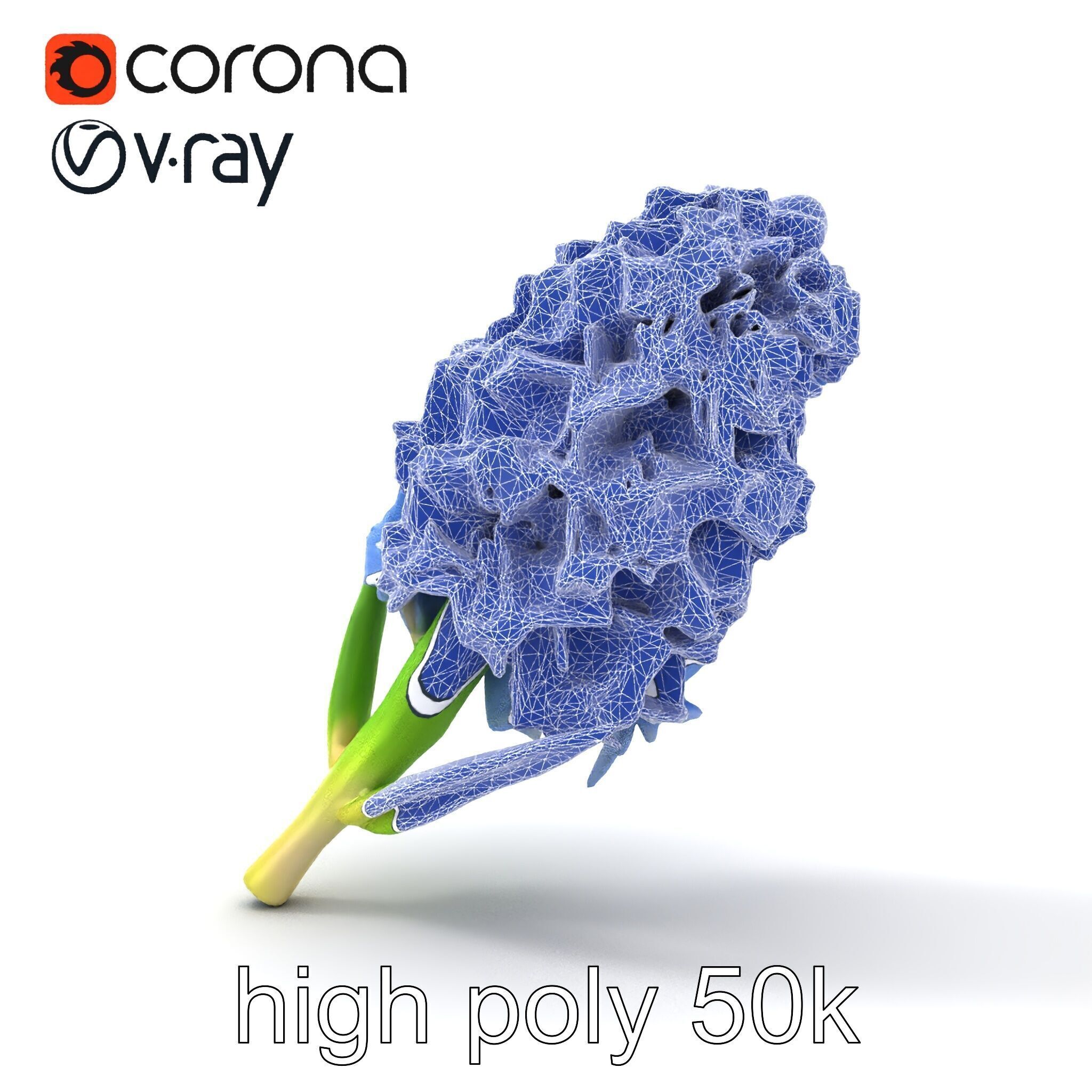 Double Hyacinth Layered Petal Fullness model pack Low-poly 3D model_30