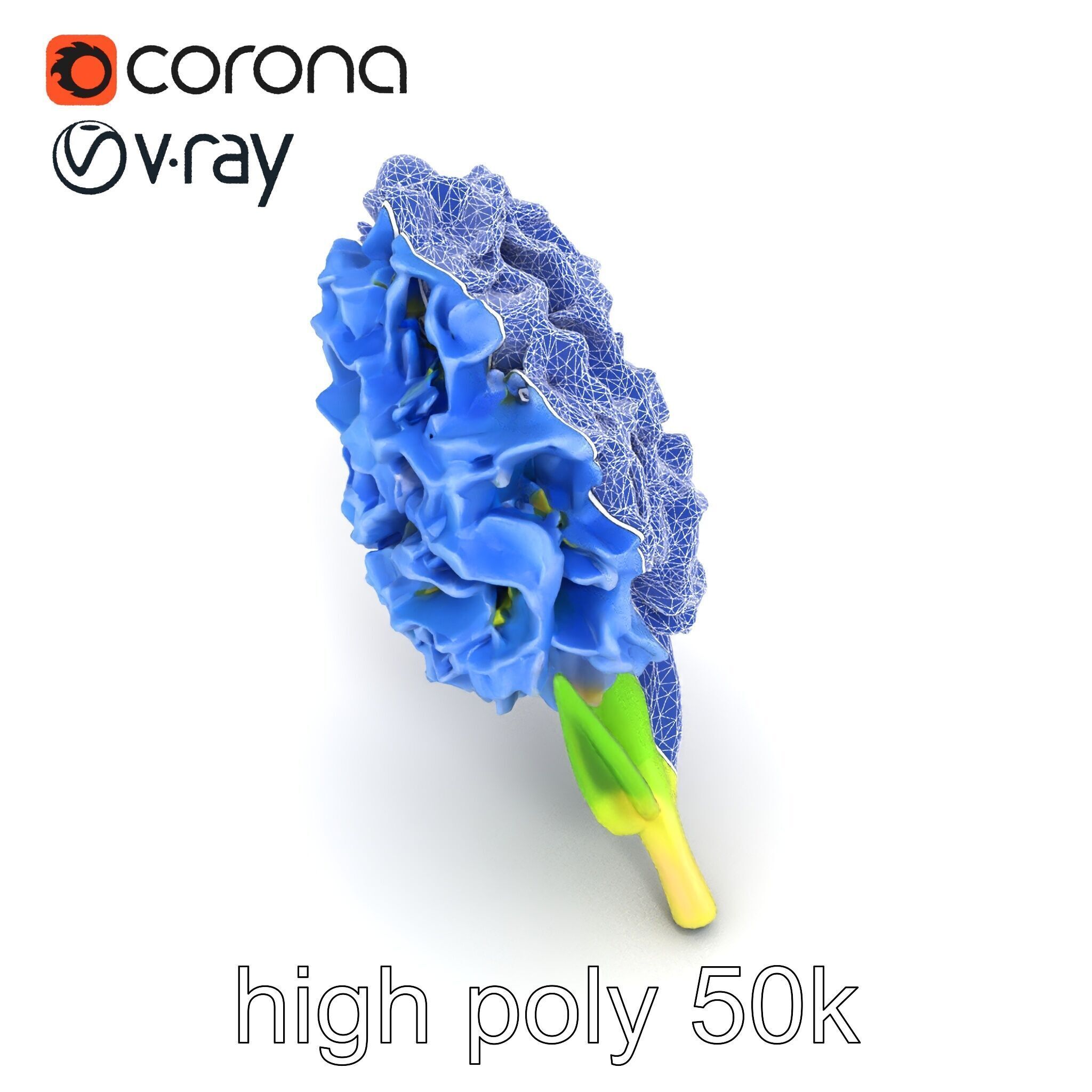 Double Hyacinth Layered Petal Fullness model pack Low-poly 3D model_14