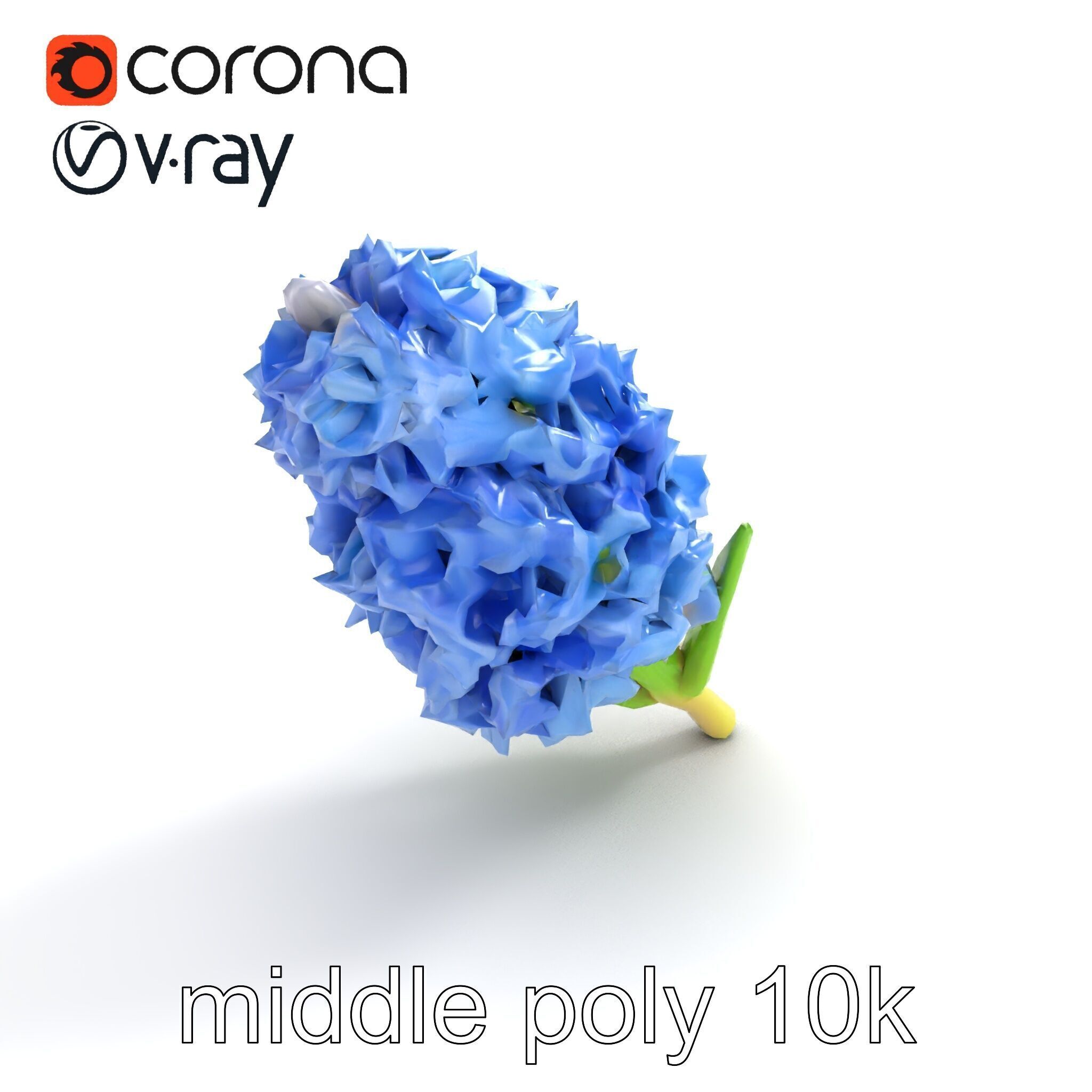 Double Hyacinth Layered Petal Fullness model pack Low-poly 3D model_7